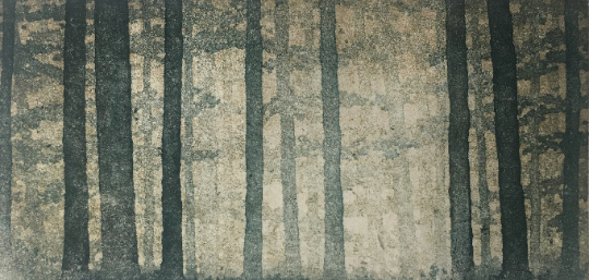 Forest No. 16