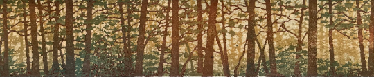 Forest No. 15