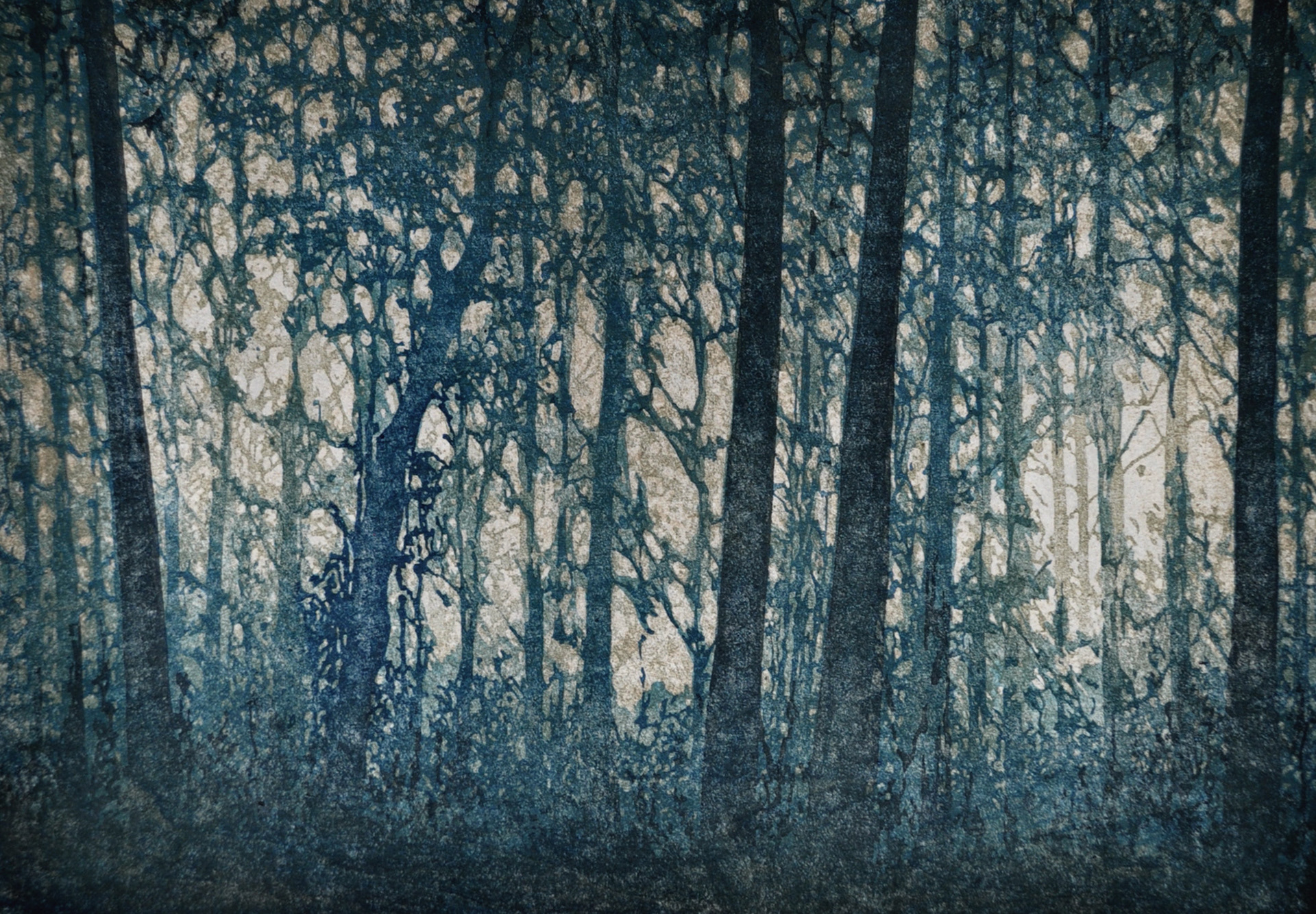 Forest No. 9