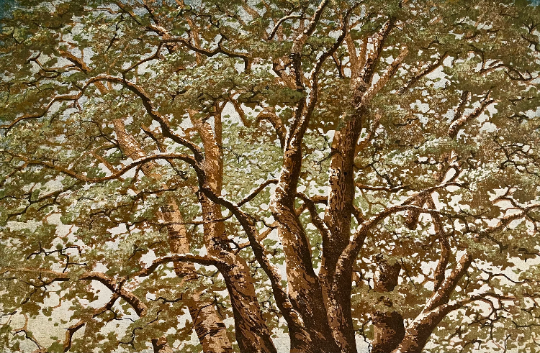 Tree No. 25