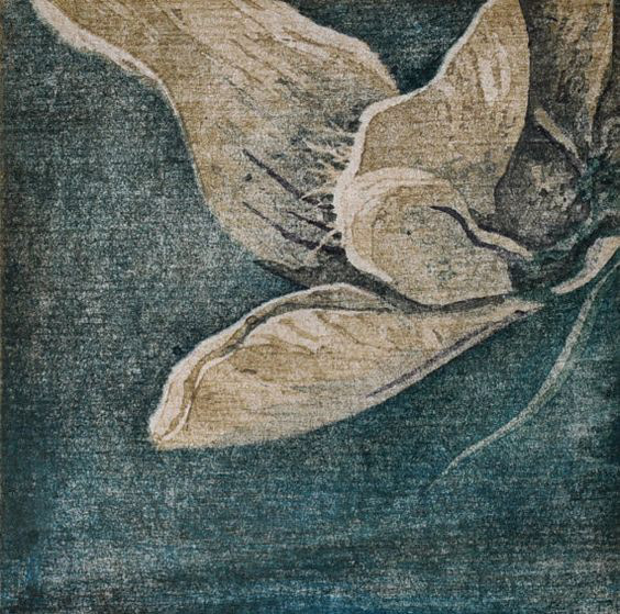 White Flower No. 2