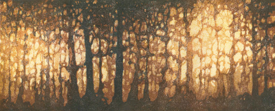 Forest No. 6