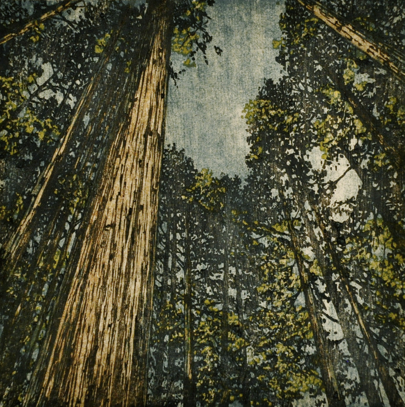Forest No. 10