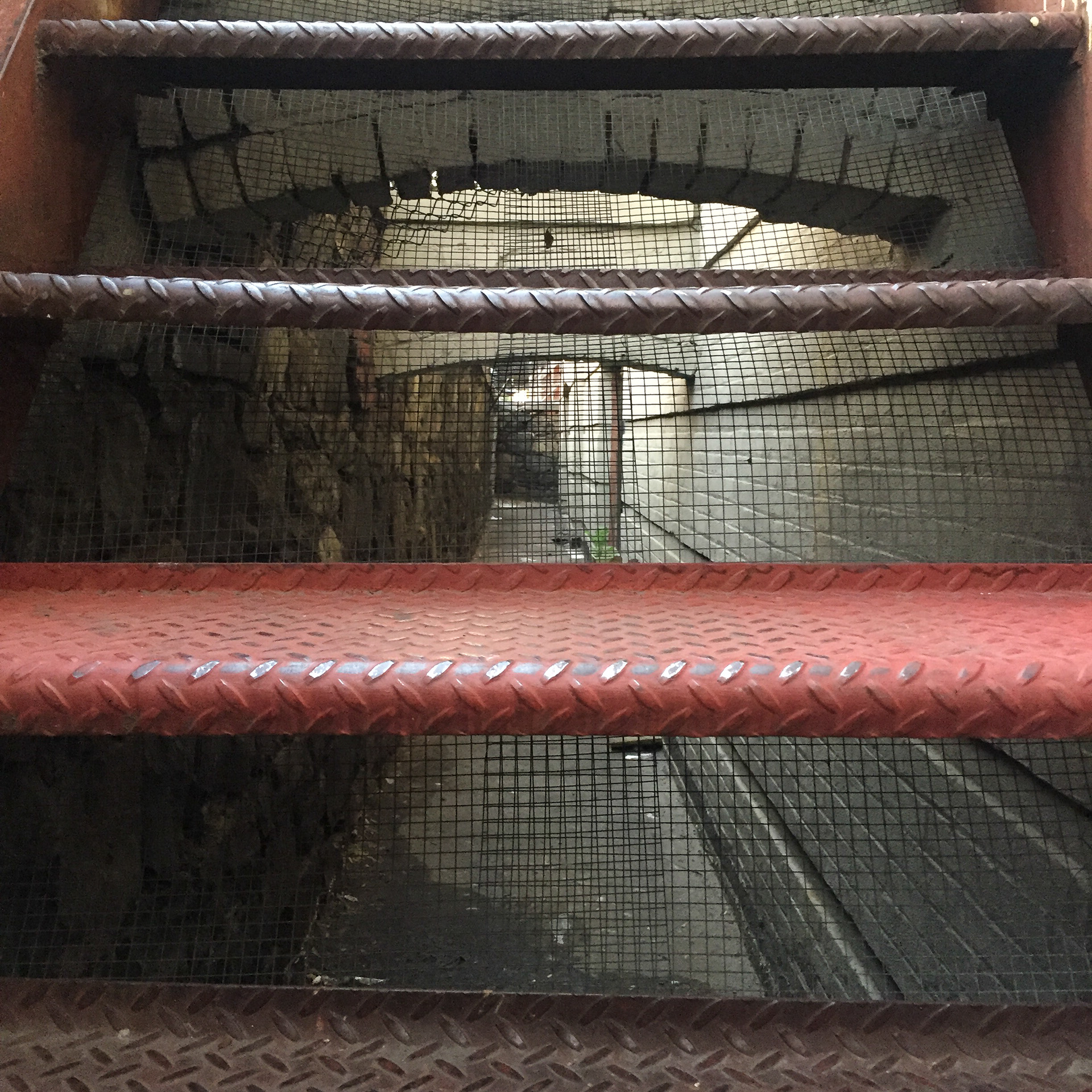 Ever Upward