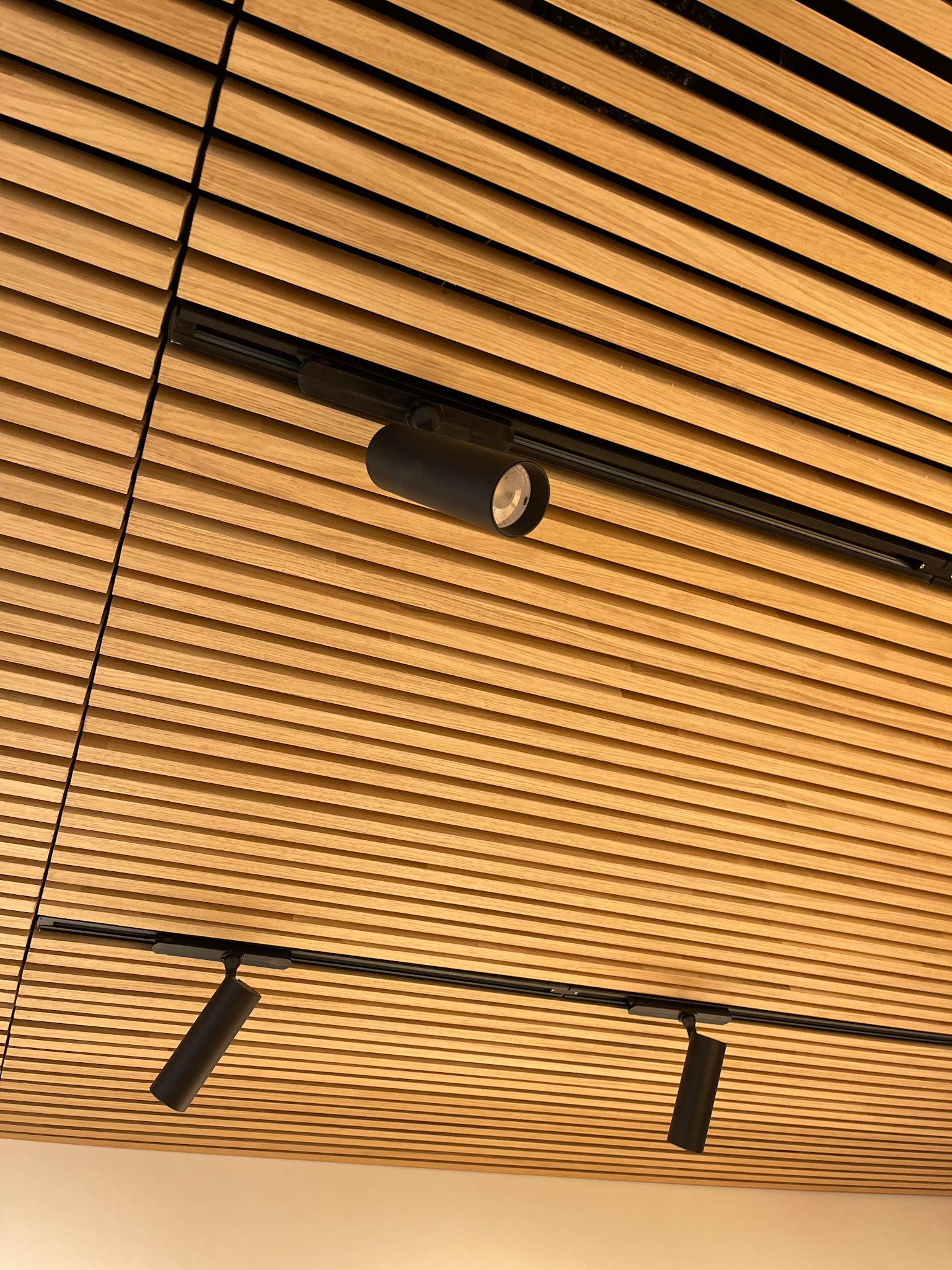 PLAFOND CHENE