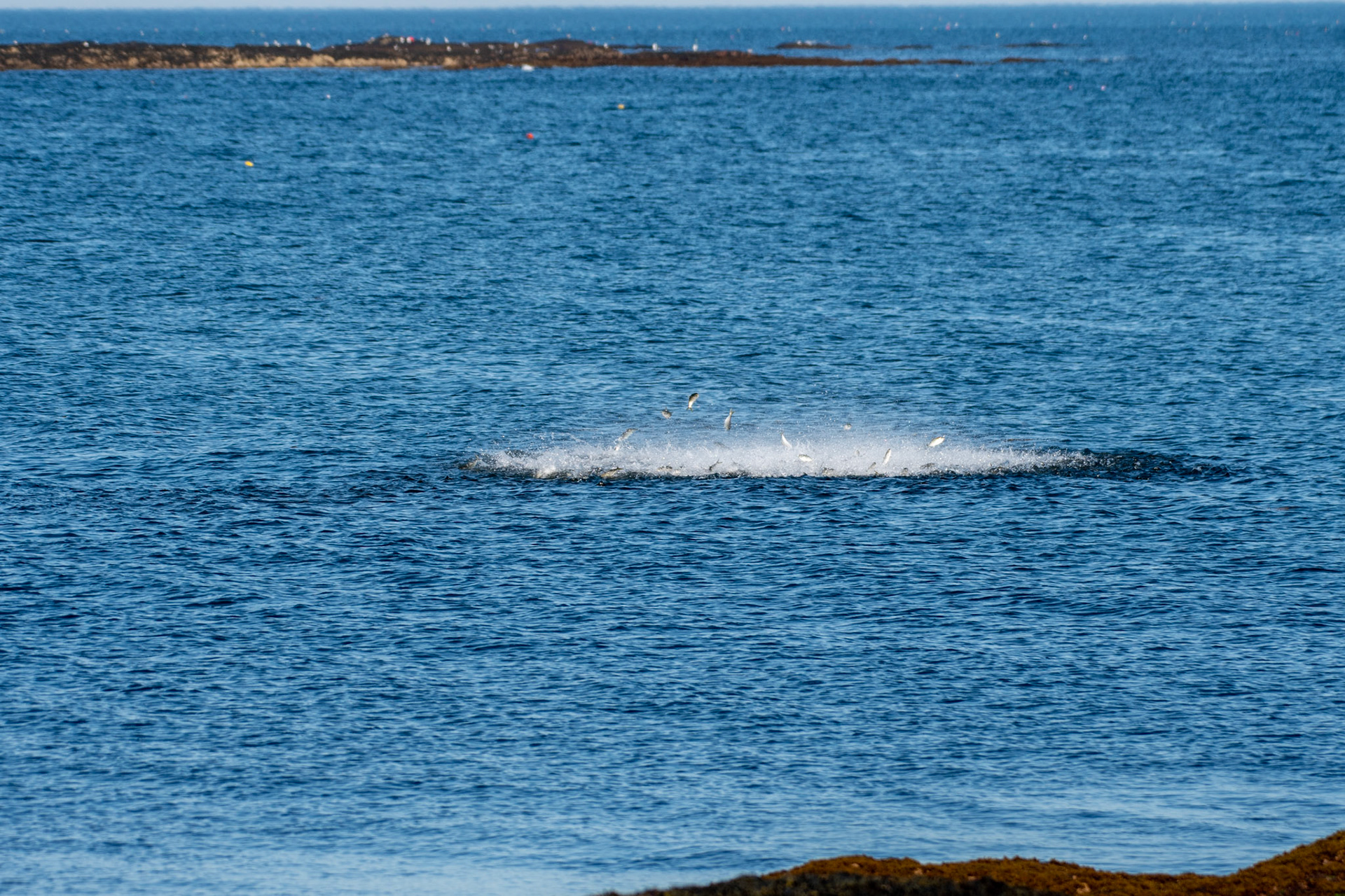 Ship Harbor, ME
