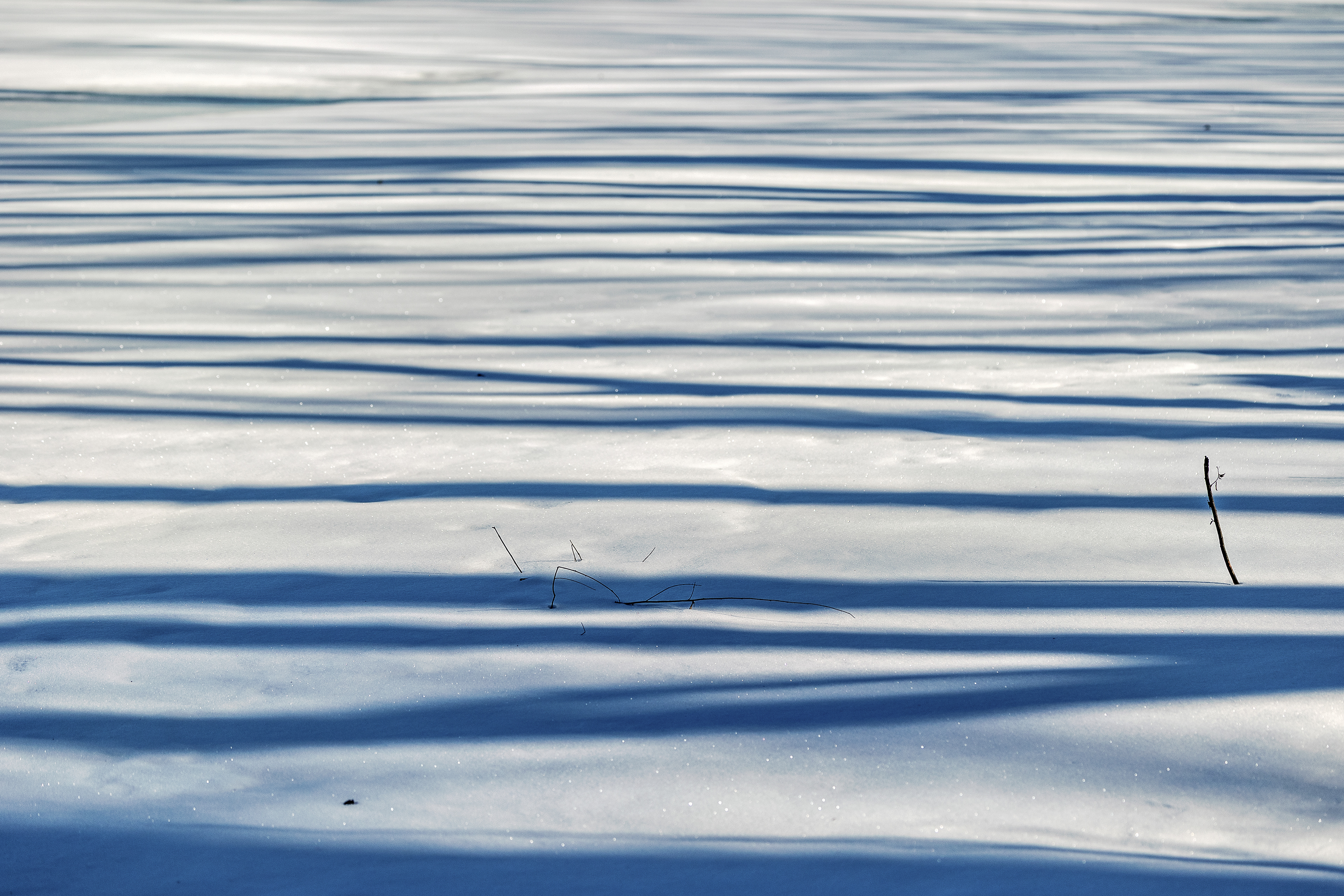 Frozen Stripes
