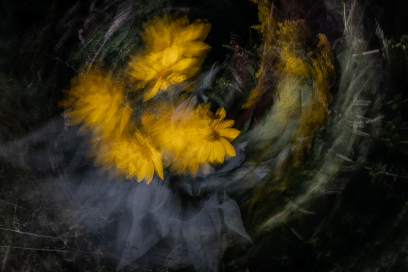 Ephemeral Embrace