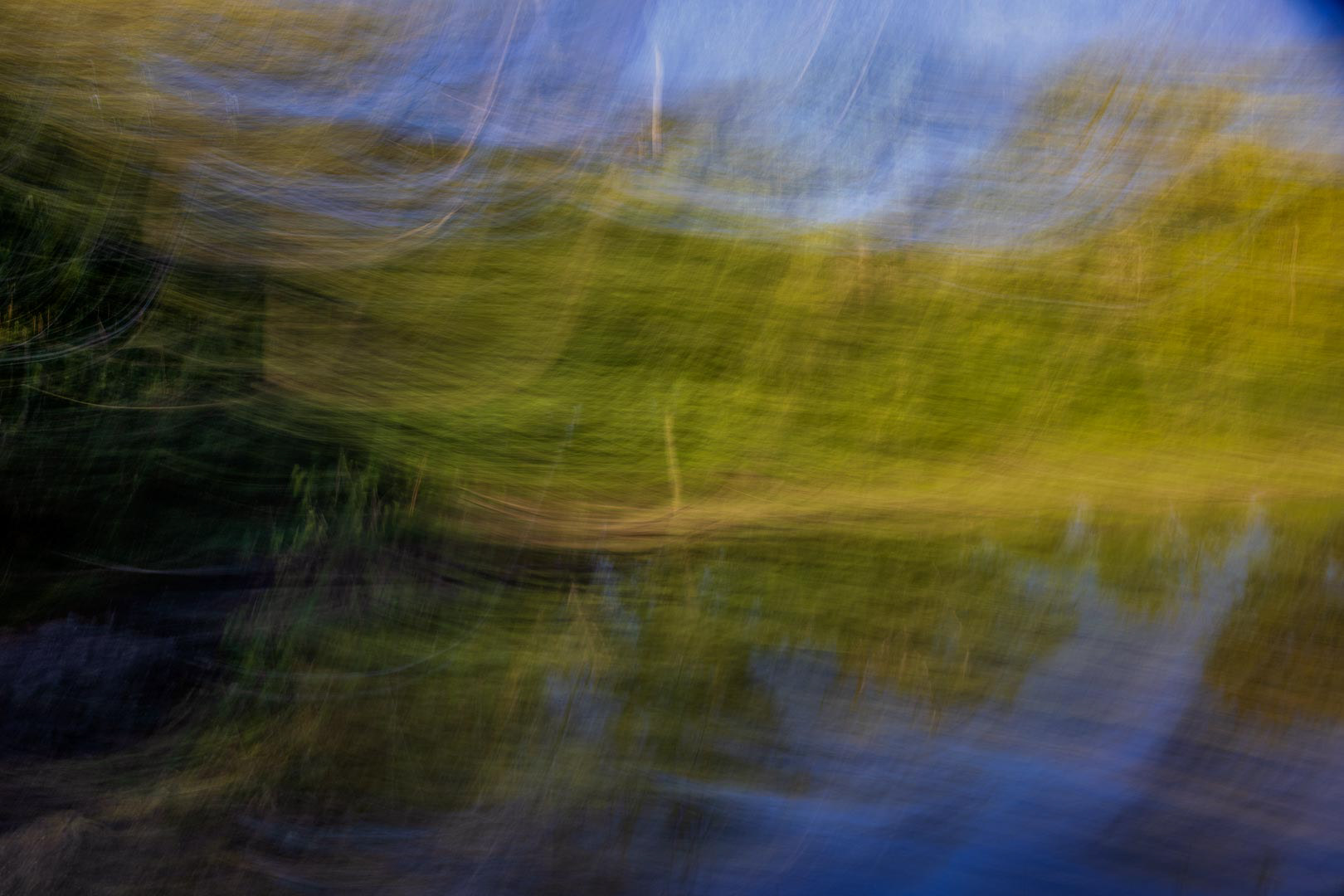 Mystic Woods A Journey Through Time