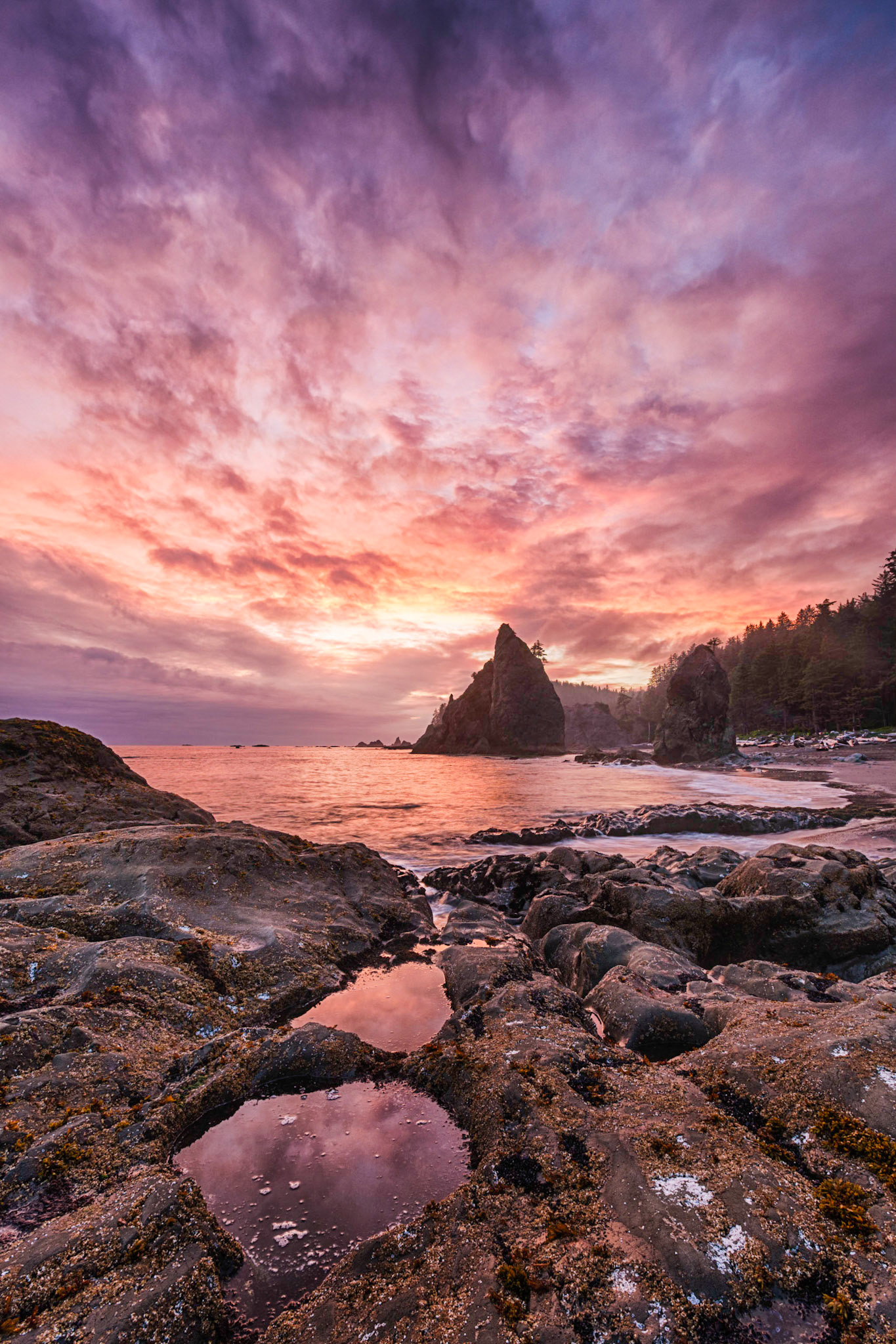 Sunset on Rialto Beach in the coastal region of Olympic National Park, Washington, USA.