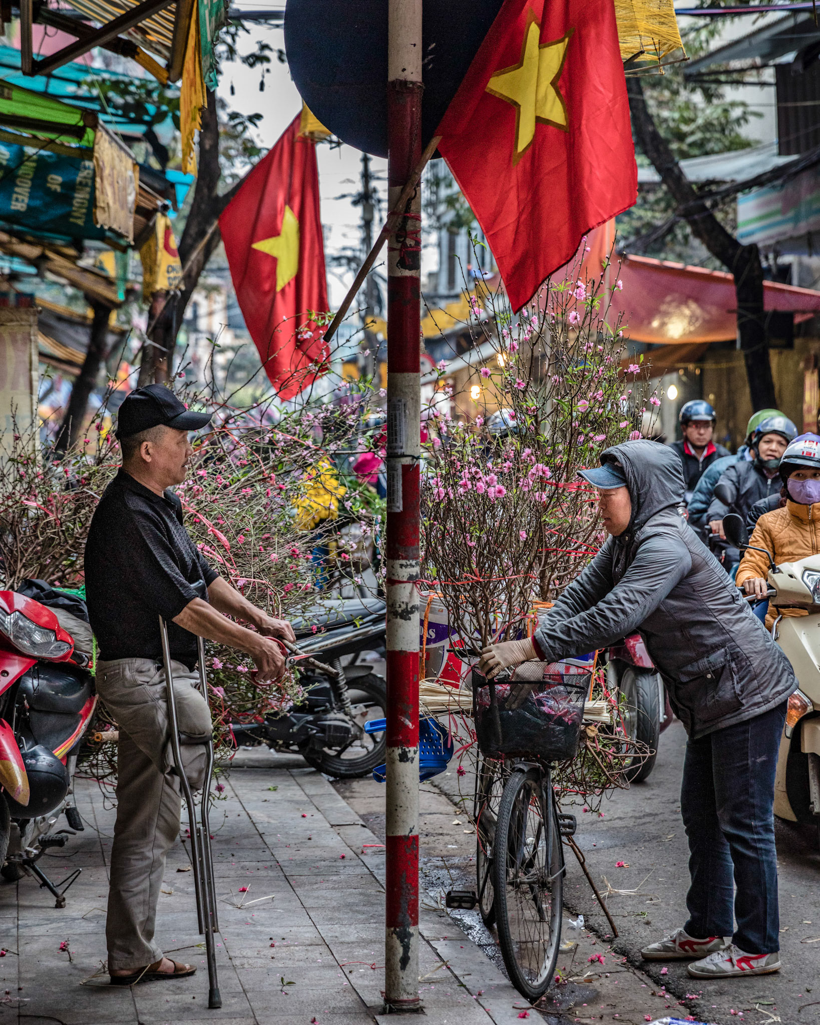 Woman buying cherry blossoms for Chinese new year on the streets of Hanoi, Vietnam.