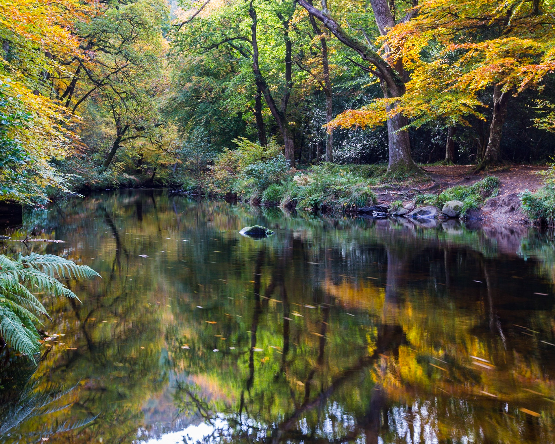 A river of color as the Fall leaves reflect onto the water below