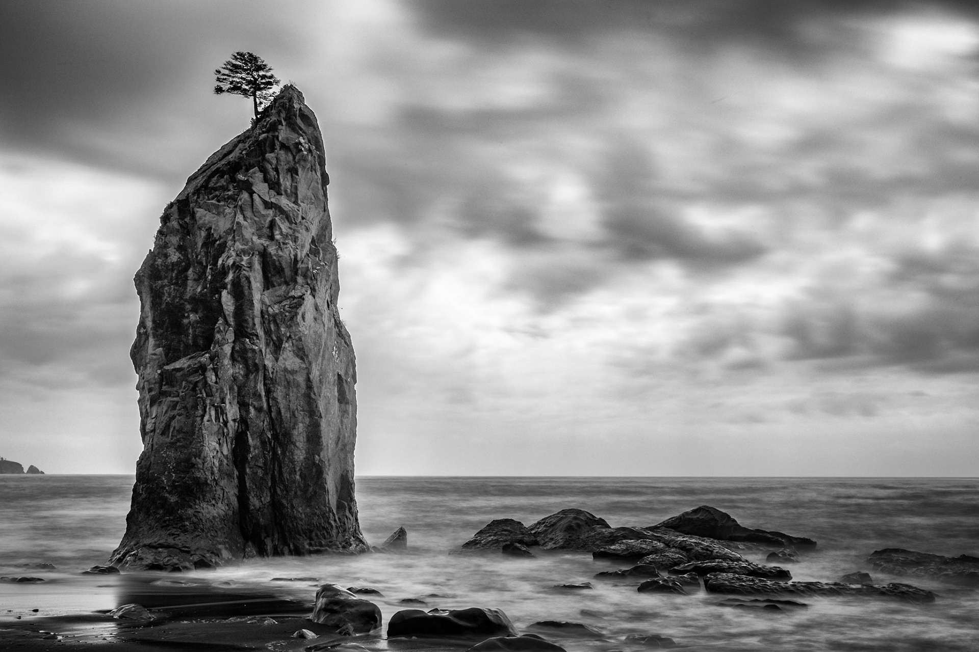 Somehow a tree manages to survive on the top of a slanted sea stack on the Washington coast