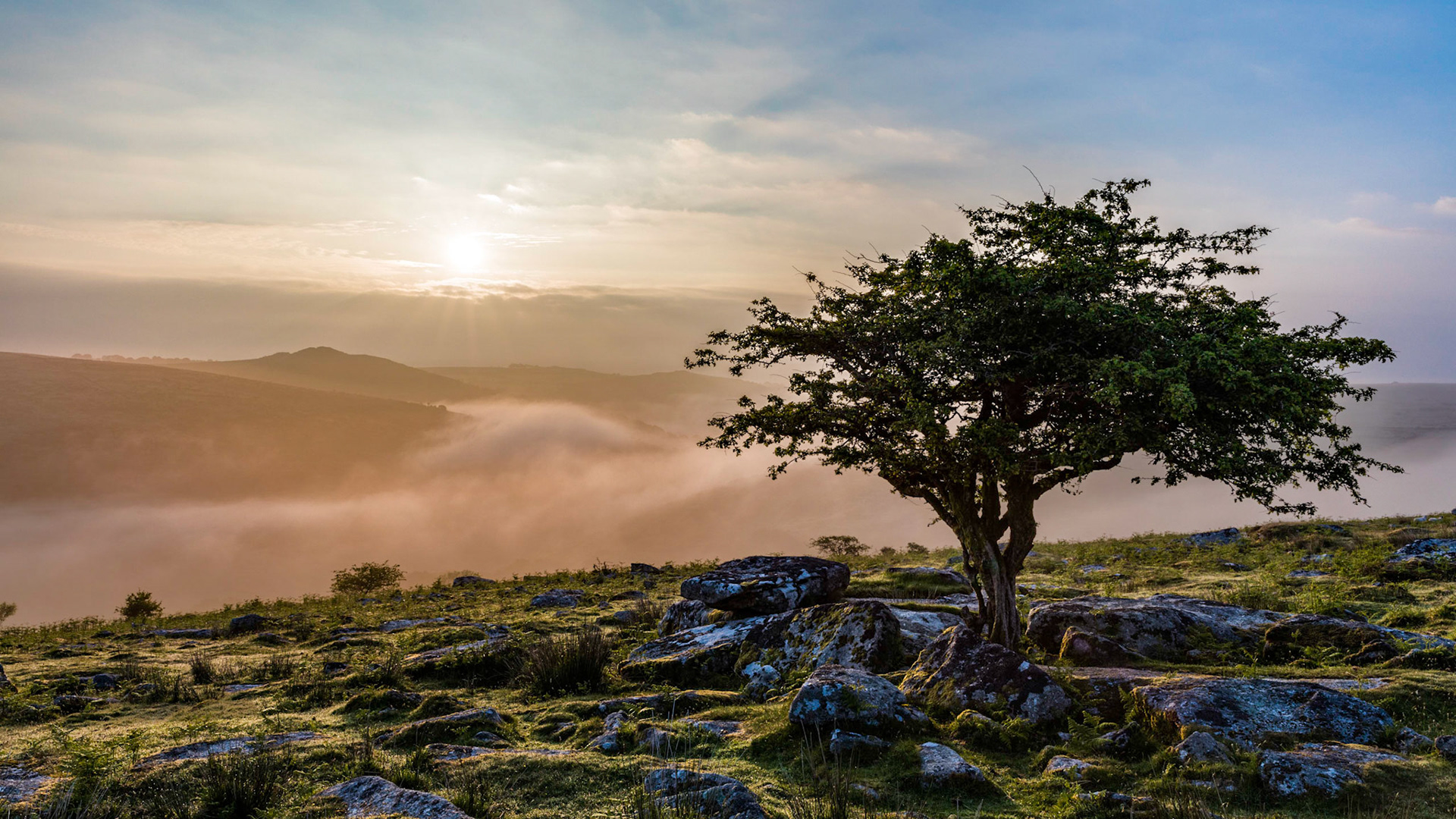 Sunrise over a hazy Dart river valley near Combestone Tor in Dartmoor National Park.