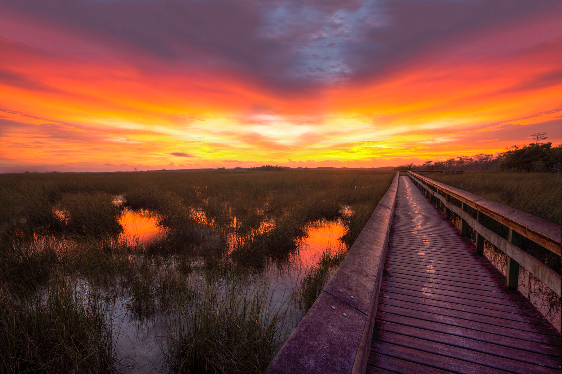Sunrise over the Everglades swamp. Early Morning out in the swamps of the Everglades the morning starts with a brilliant light show