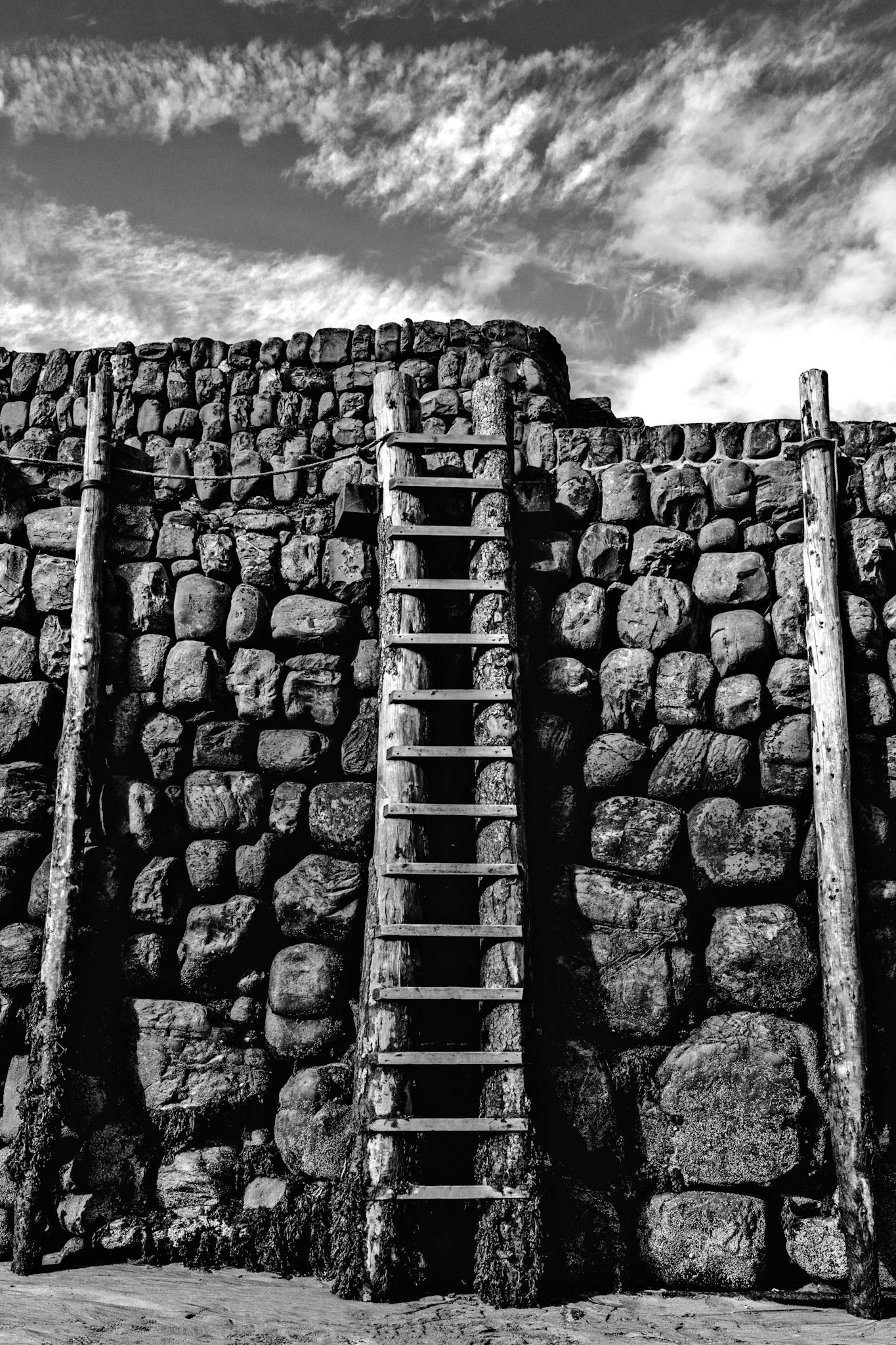 A worn and weathered ladder going up the harbor wall in Clovelly