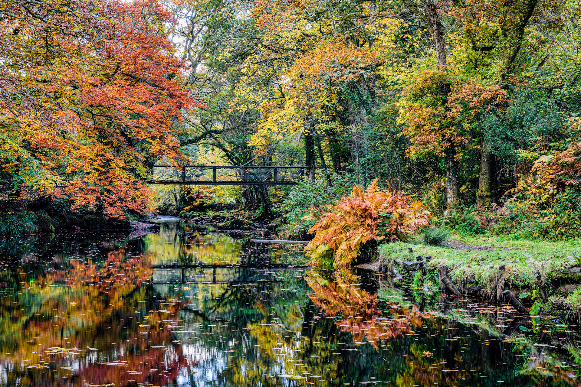 The River Tiegn below Castle Drogo surrounded by autumnal colours.