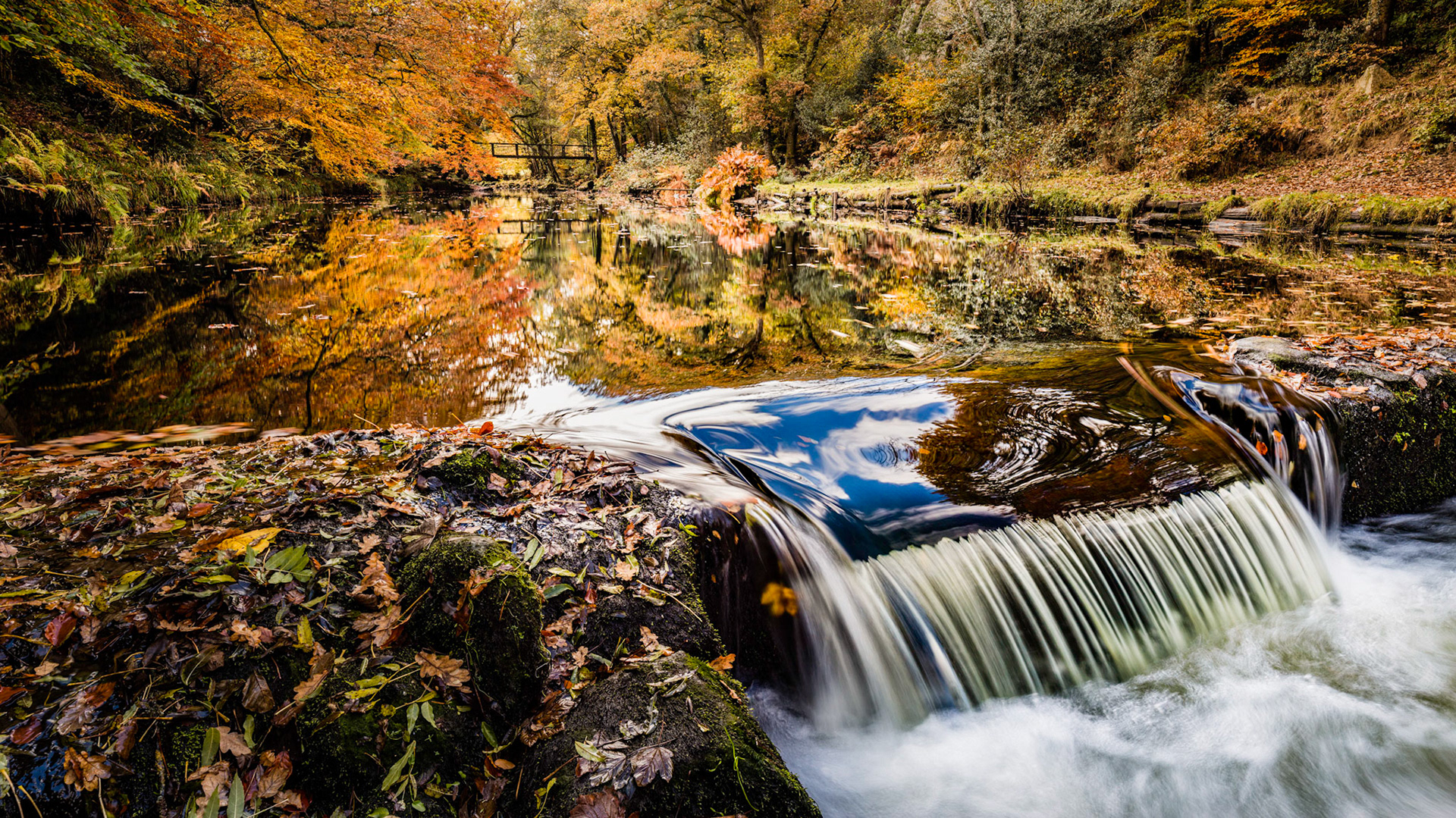 A weir on the River Tiegn near Castle Drogo with the woodland in full autumnal glory