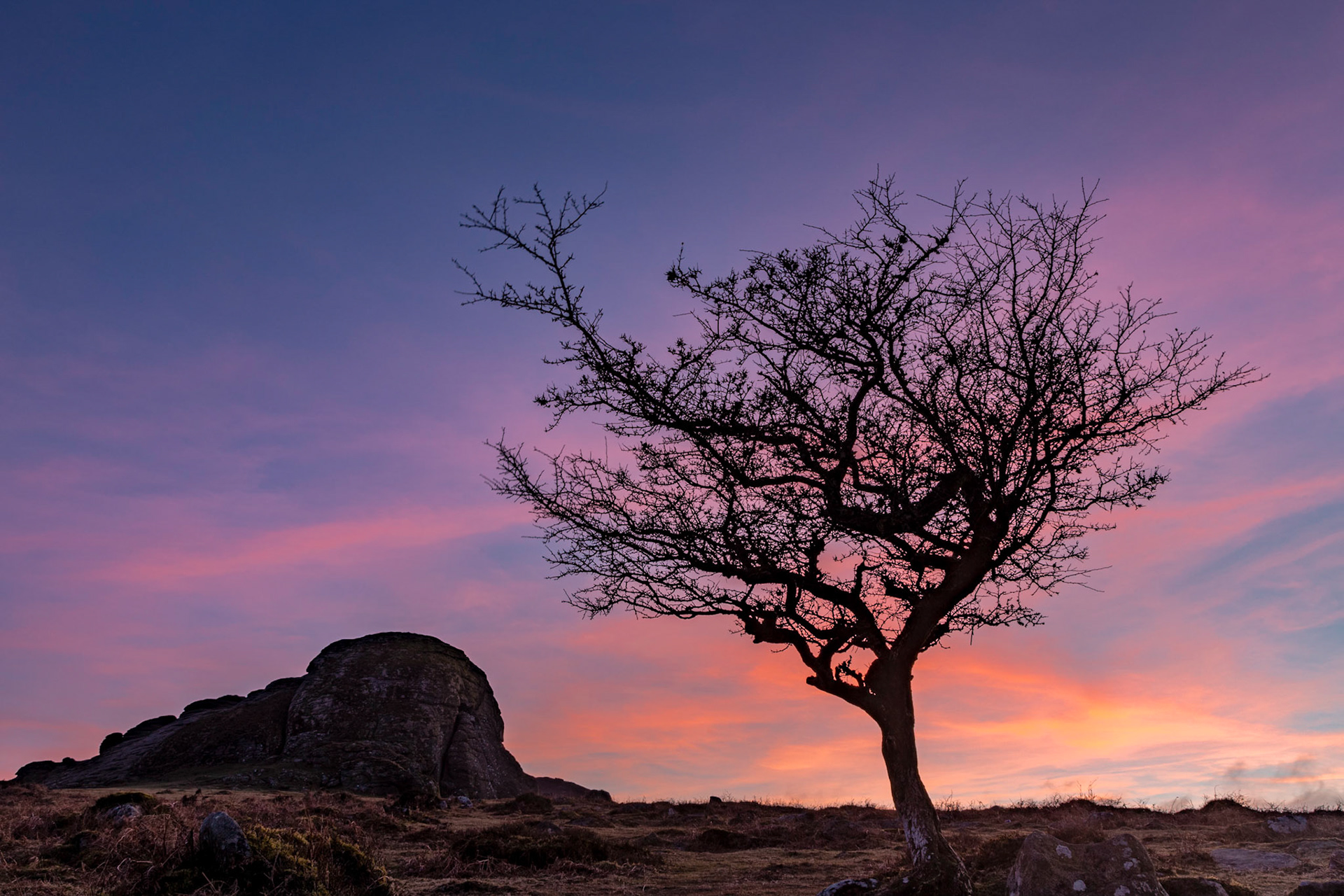 Sillouette of Haytor and a nearby tree with pink clouds still illuminated by the sun that had dipped below the horizon.