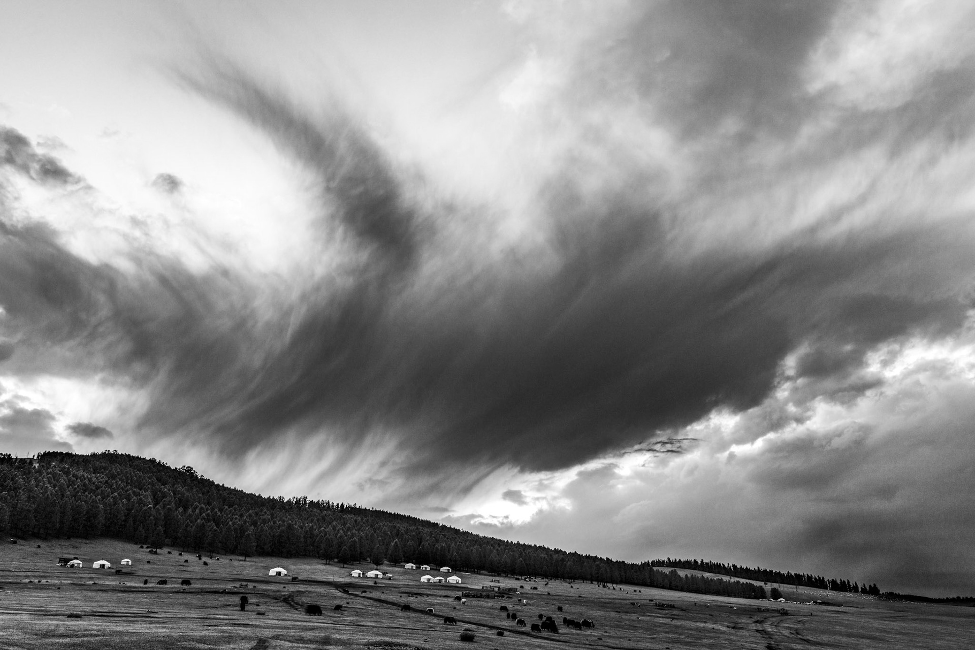 Dramatic sky over a group of gers in the grasslands of Mongolia.
