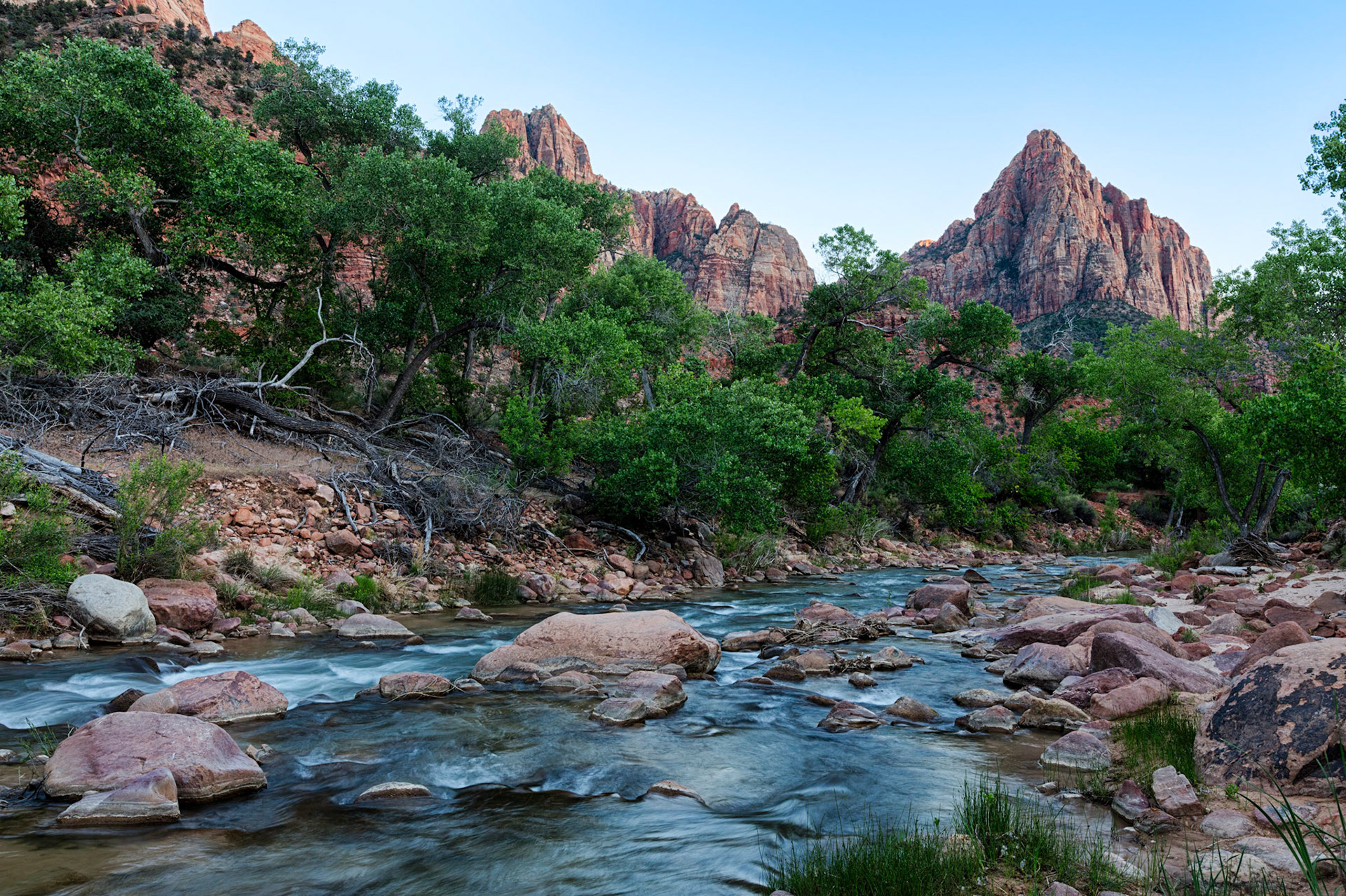 Early evening by the Virgin River looking at The Watchman in Zion National Park