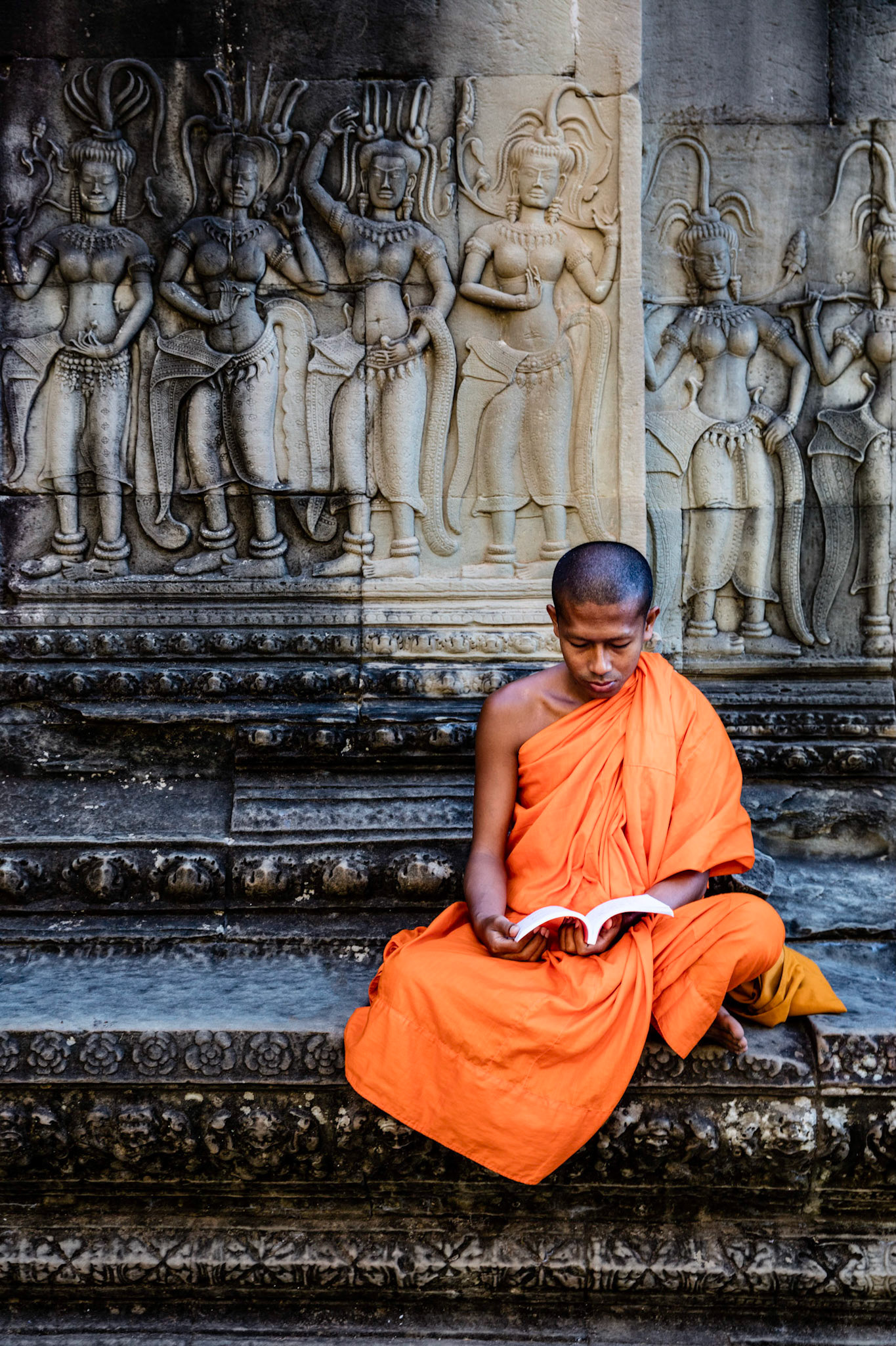 Monk reading a book on the grounds of Angkor Wat