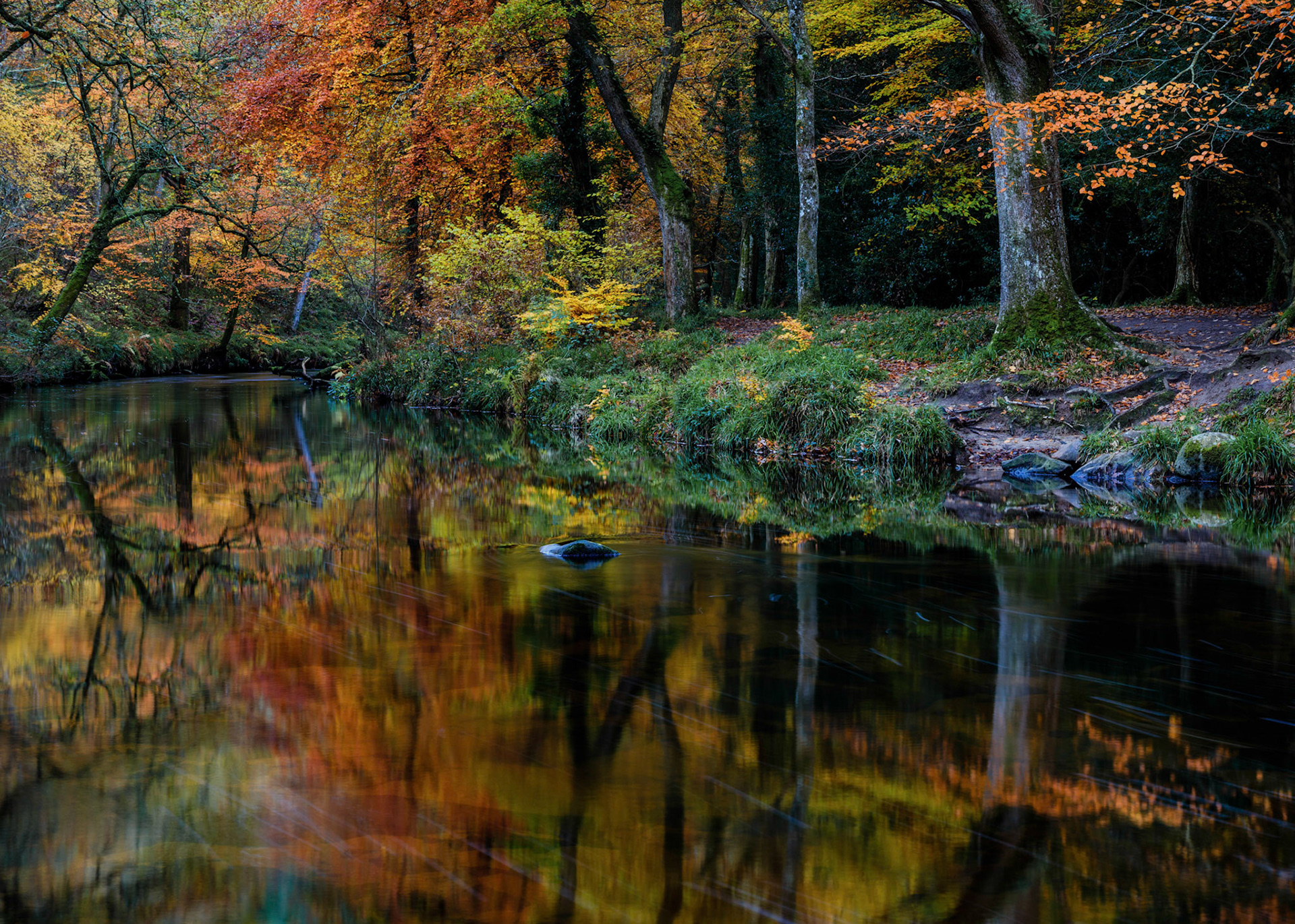 A moody autumnal scene along the River Teign near Fingle Bridge in Dartmoor National Park.