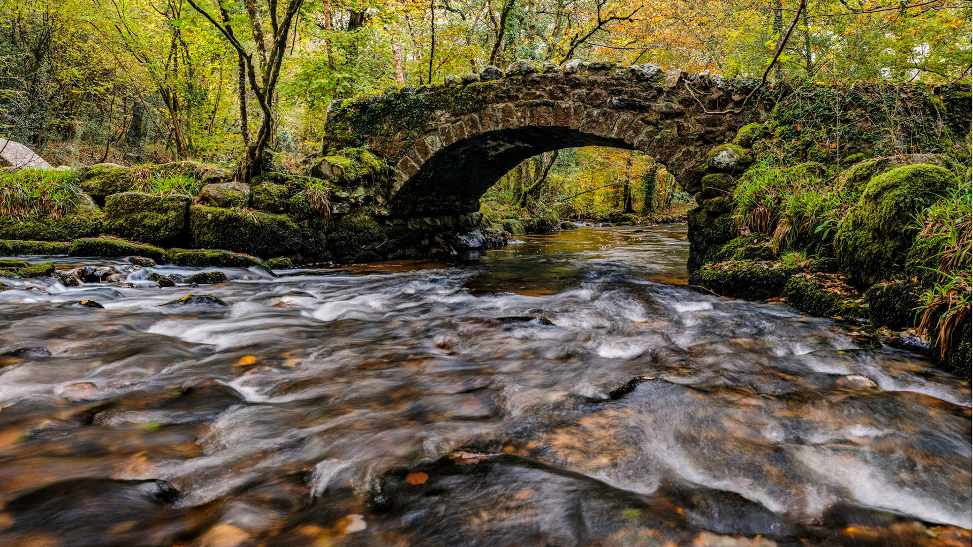 Autumn in Pullabrook Woods with River Bovey flowing under Hisley Bridge.