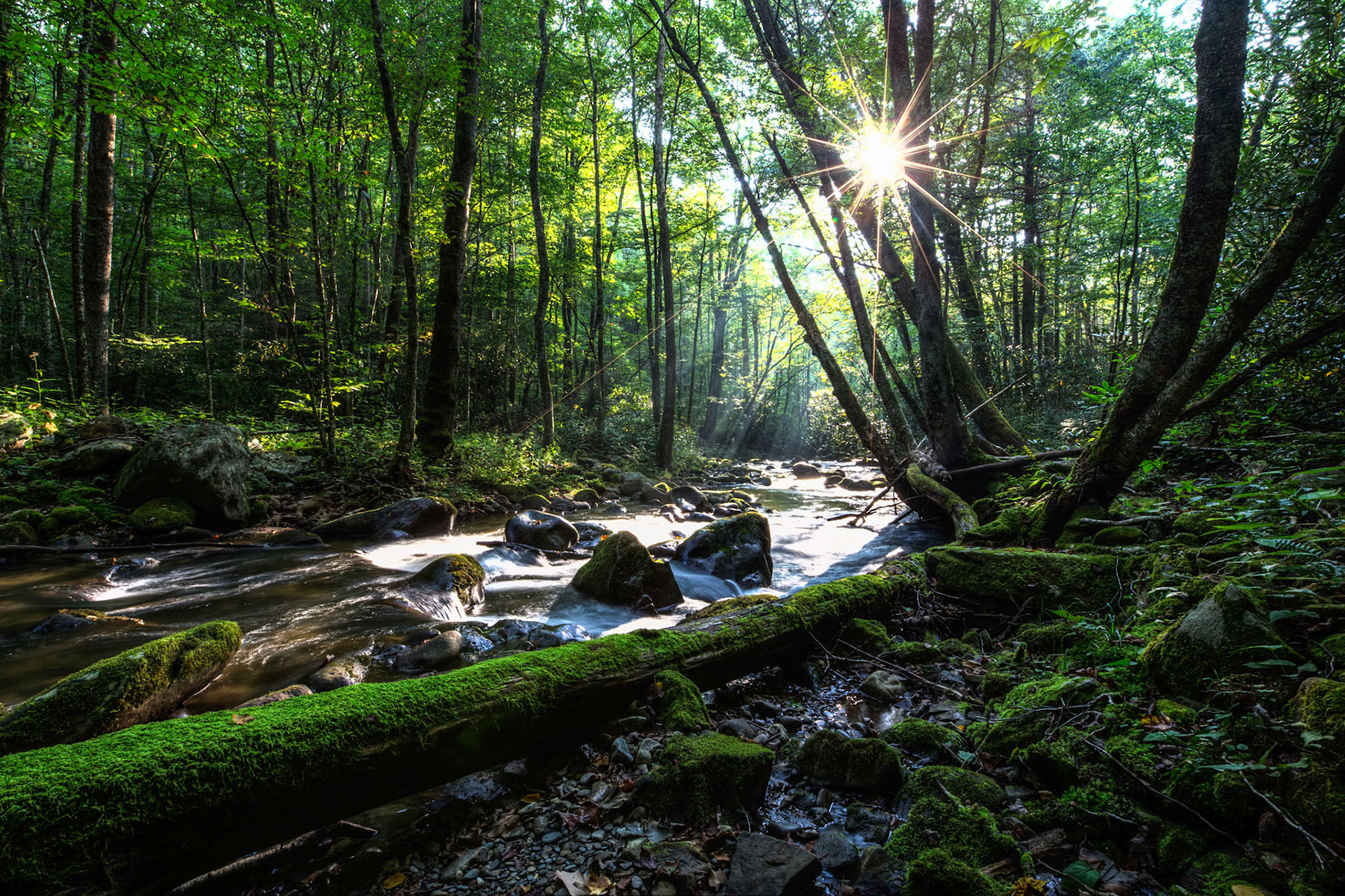 Late morning along a road in the Great Smokey Mountains I found this nice place to capture some sunrays peaking through the trees to create a nice burst