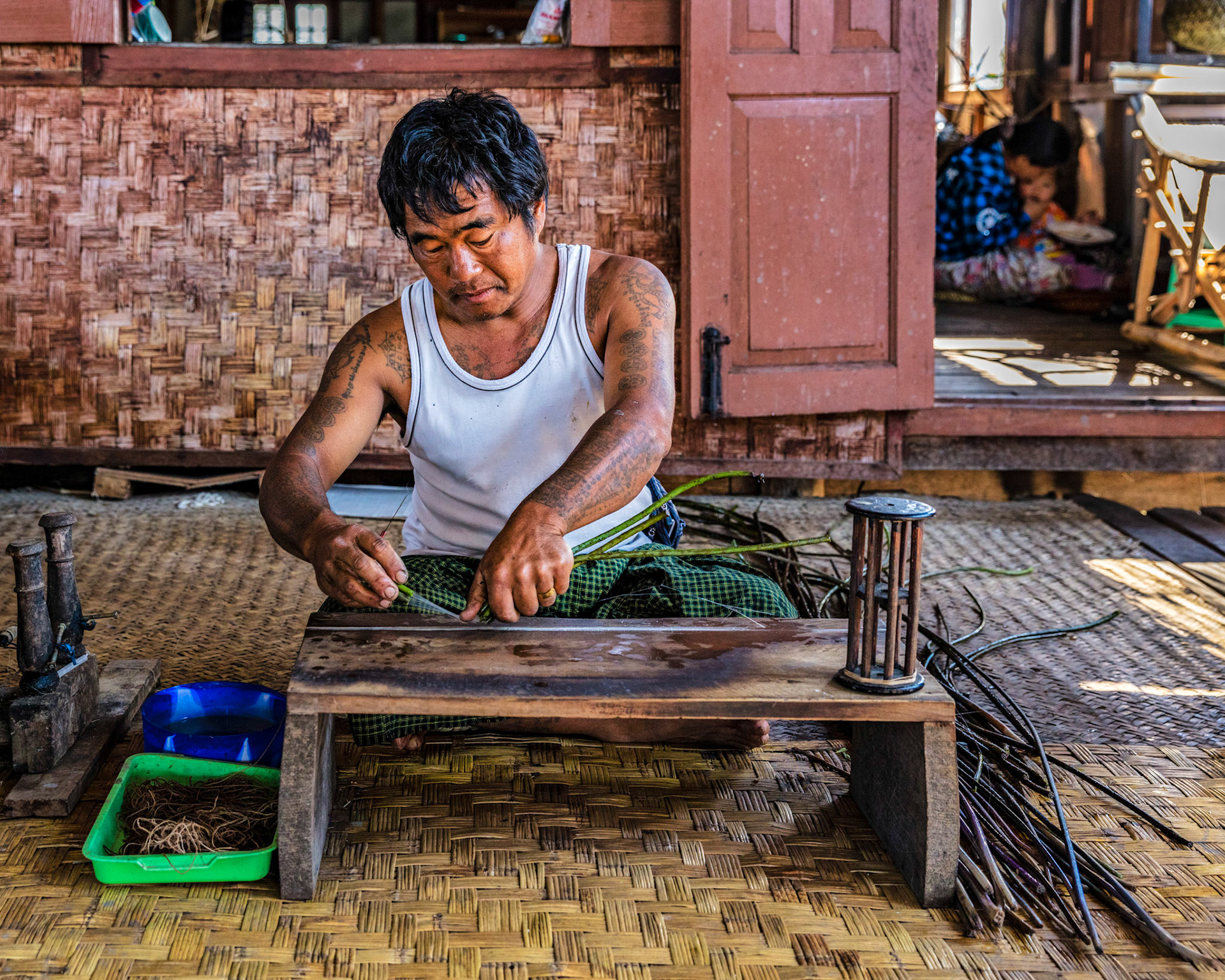 Local Burmese man removing the silk fibers from lotus plant stems in Inle Lake, Myanmar.