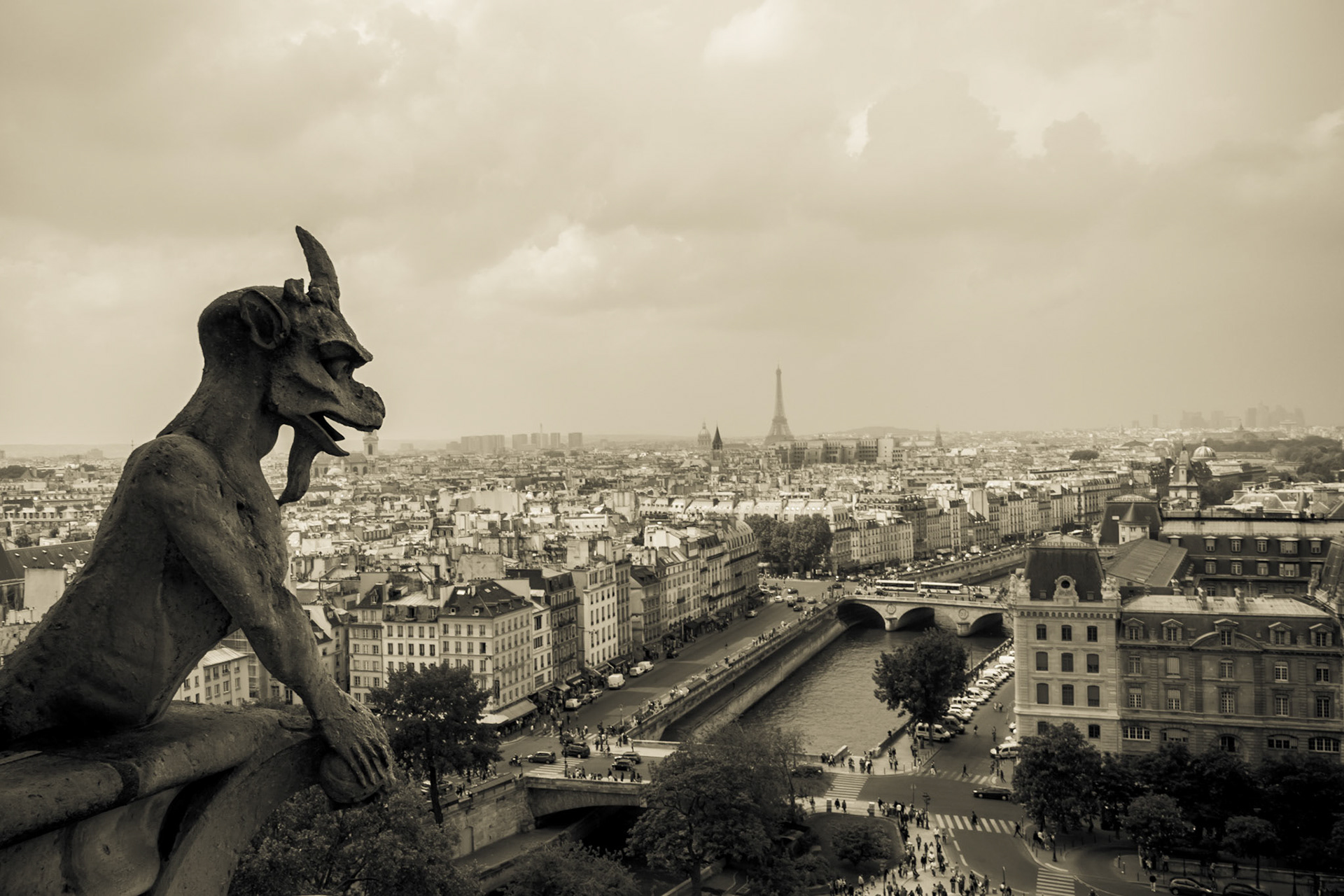 Another shot the city of Paris from the top of the Notre Dame cathedral covered in gargoyles