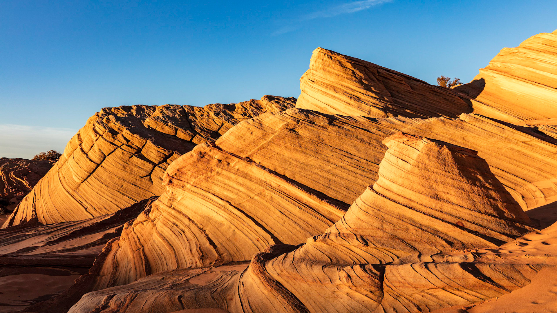 Undulating mounds of sandstone illuminated by the setting sun in the desert landscape surrounding Waterholes Canyon, Arizona, USA.