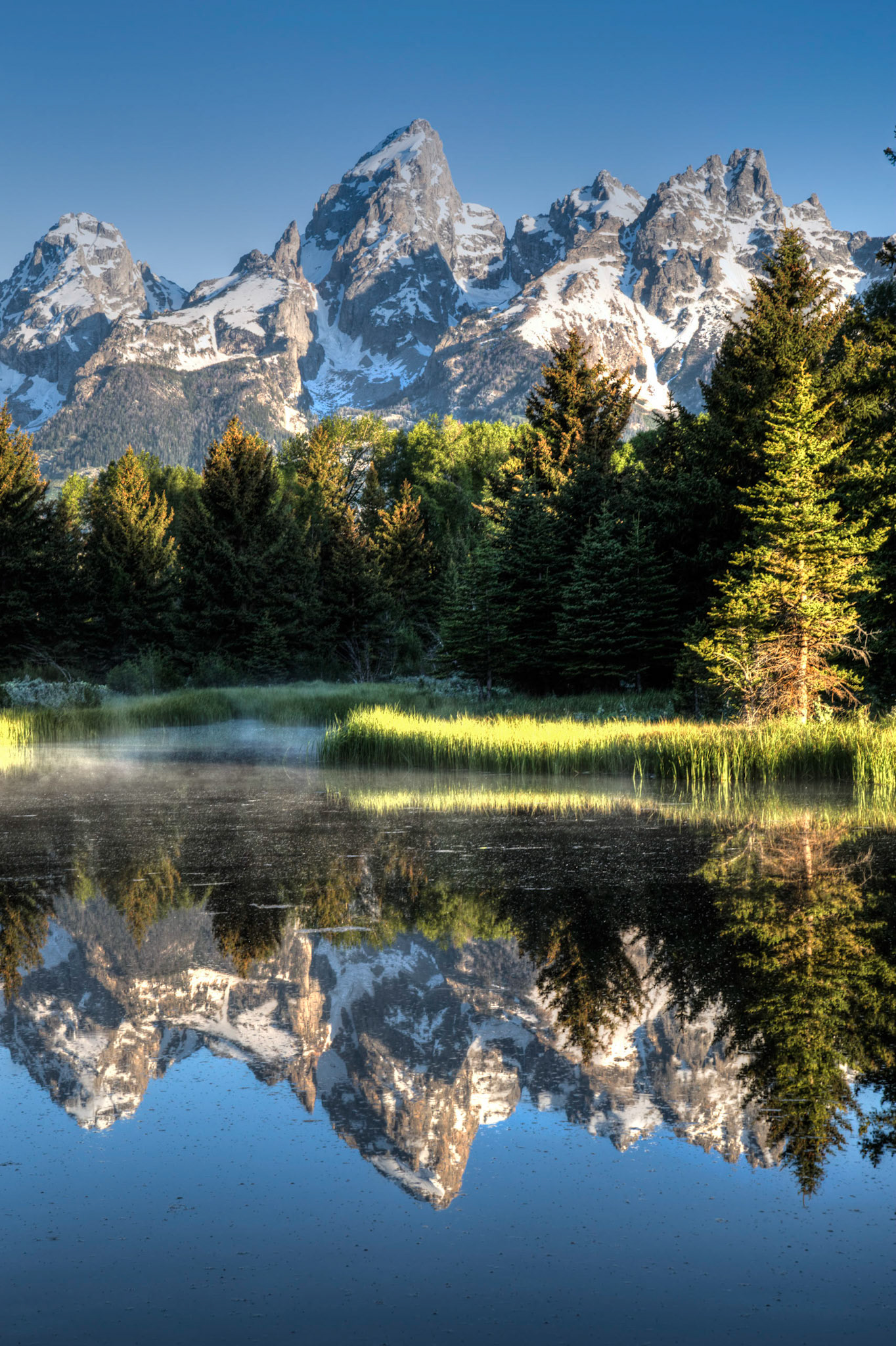 Mid morning as the sun pushes back the mist into the shadows of the trees