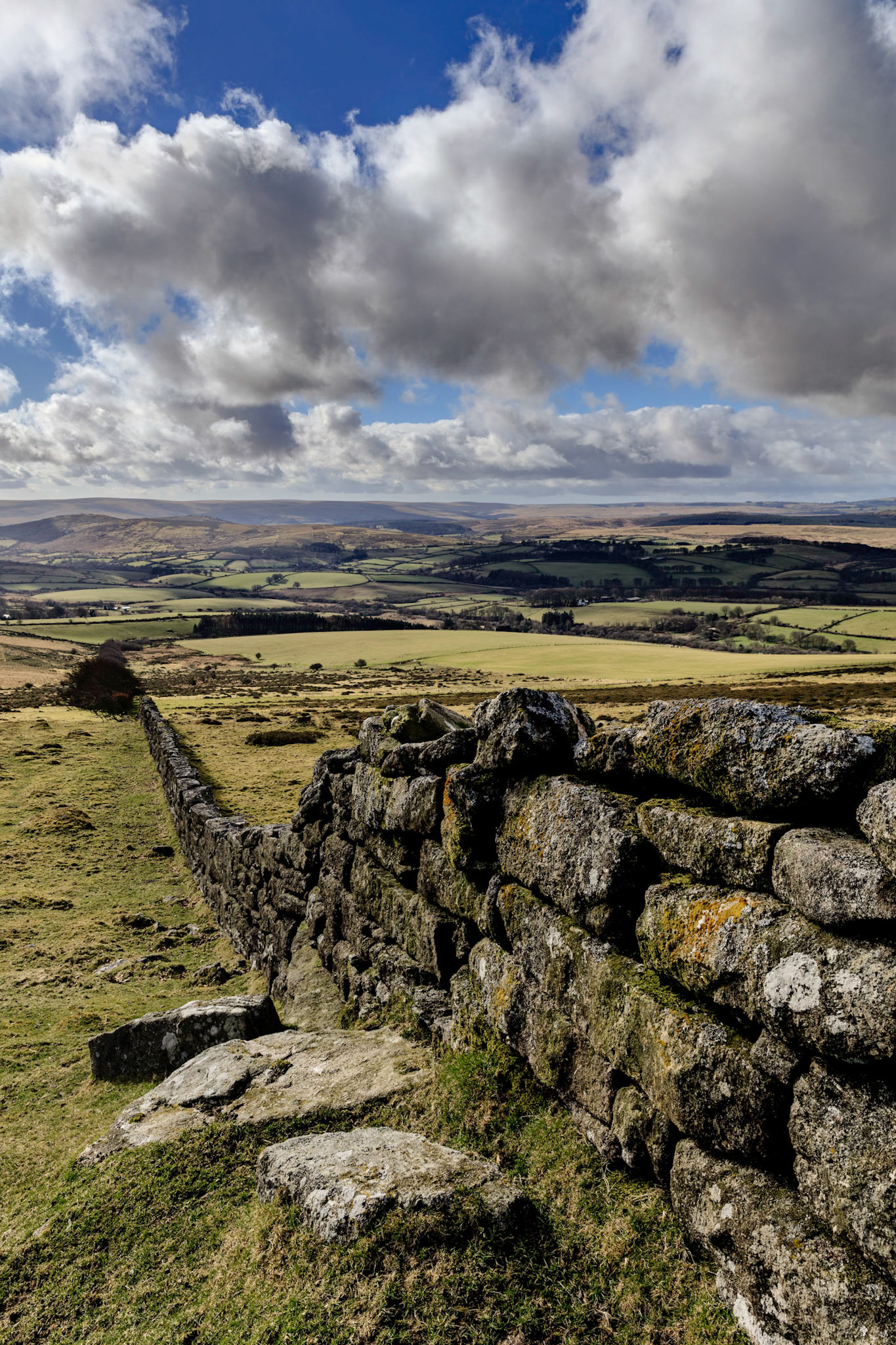 An old stone stacked wall extending down the hill and into the moorland of Dartmoor National Park near Hameldown.