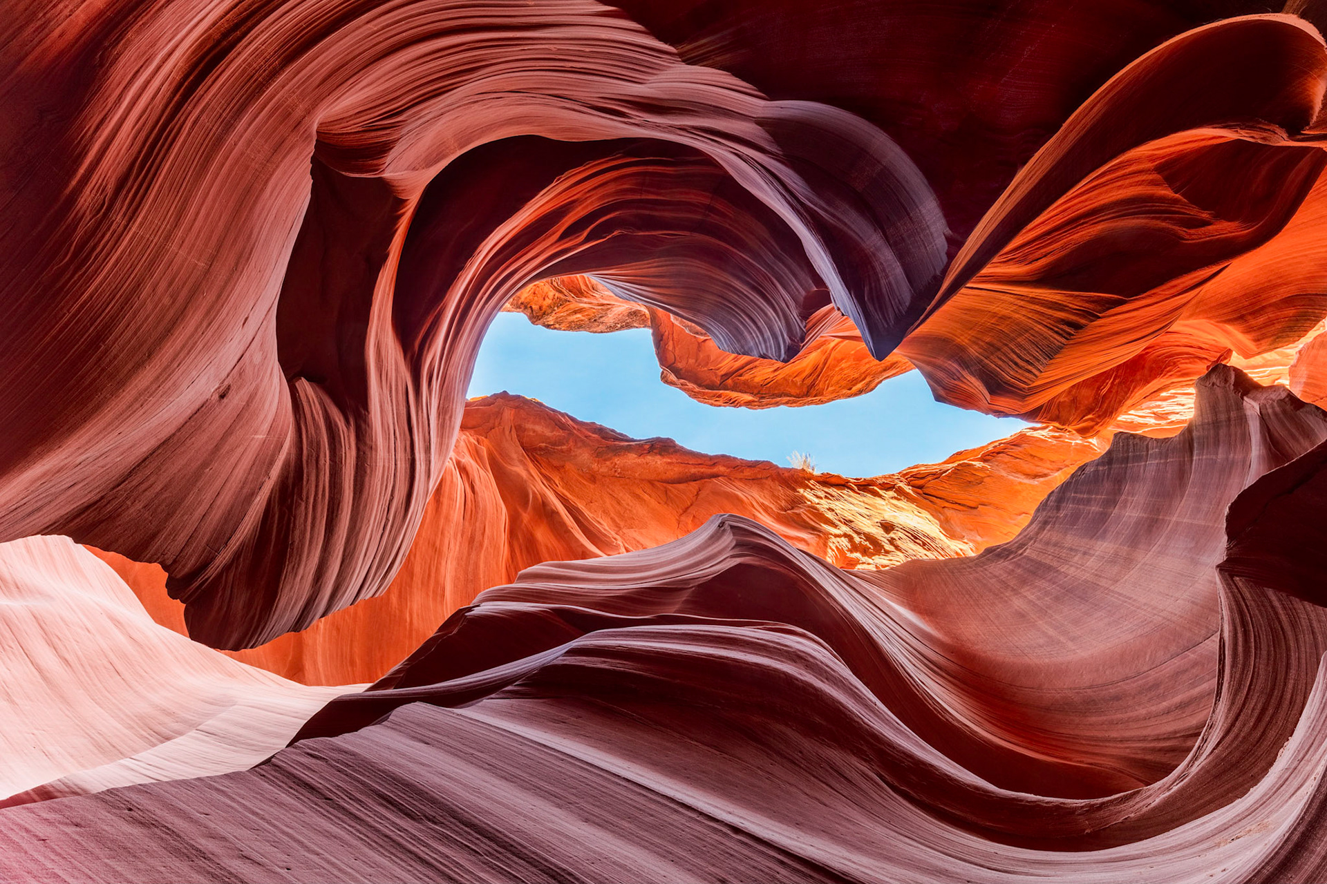 Looking up in a slot canyon showing how the sandstone walls seemingly flow like waves in Lower Antelope Canyon, Arizona, USA.