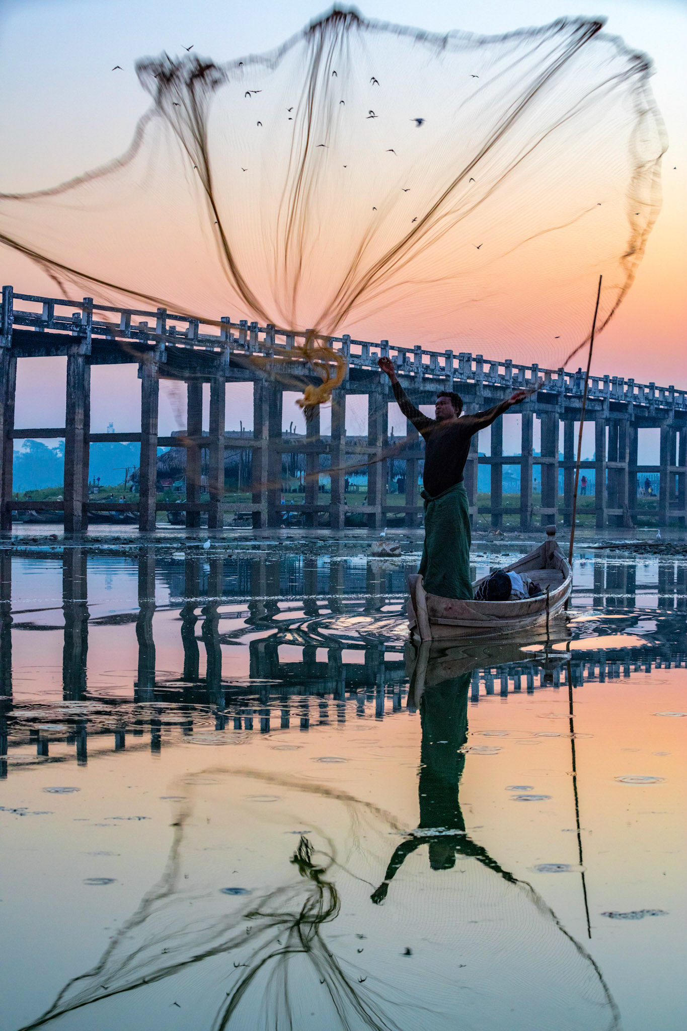 Local Burmese fisherman throwing out his net in the Taung Tha Man Lake with U Bein Bridge in Amarapura, Myanmar.
