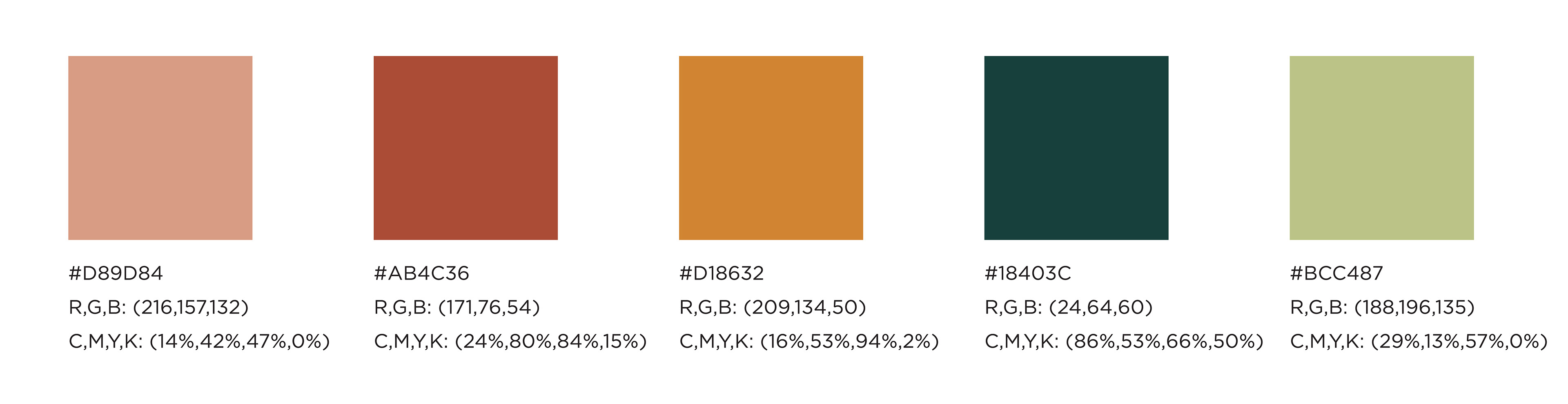 color palette