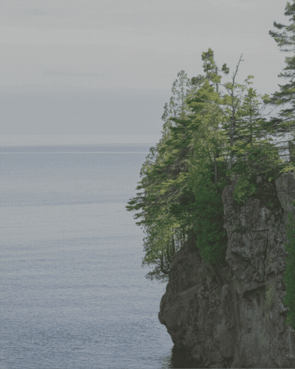 North Shore Legacy Social Media GIF Promo