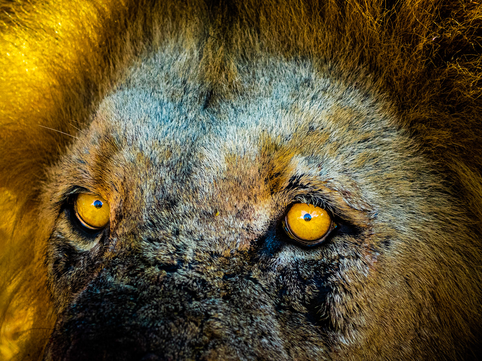 Kruger Park, South Africa