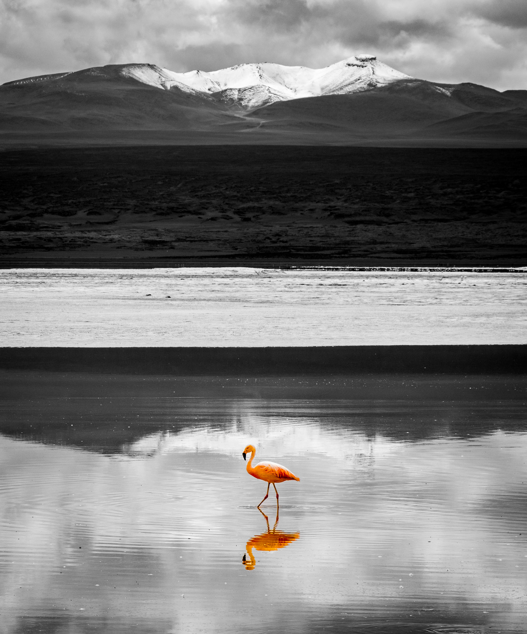 Laguna Colorada, Bolivia
