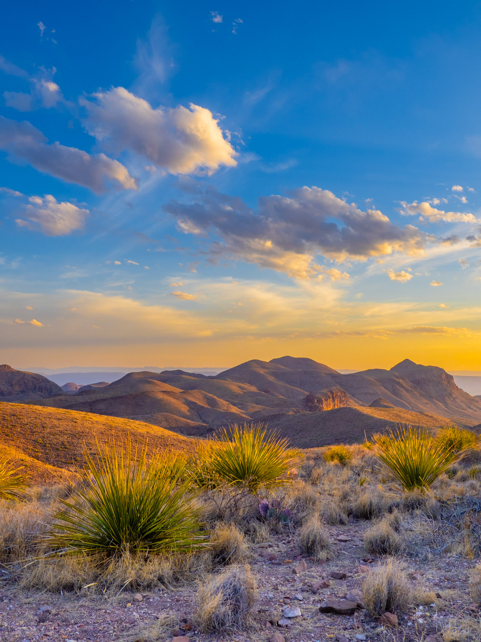 Big Bend NP, TX