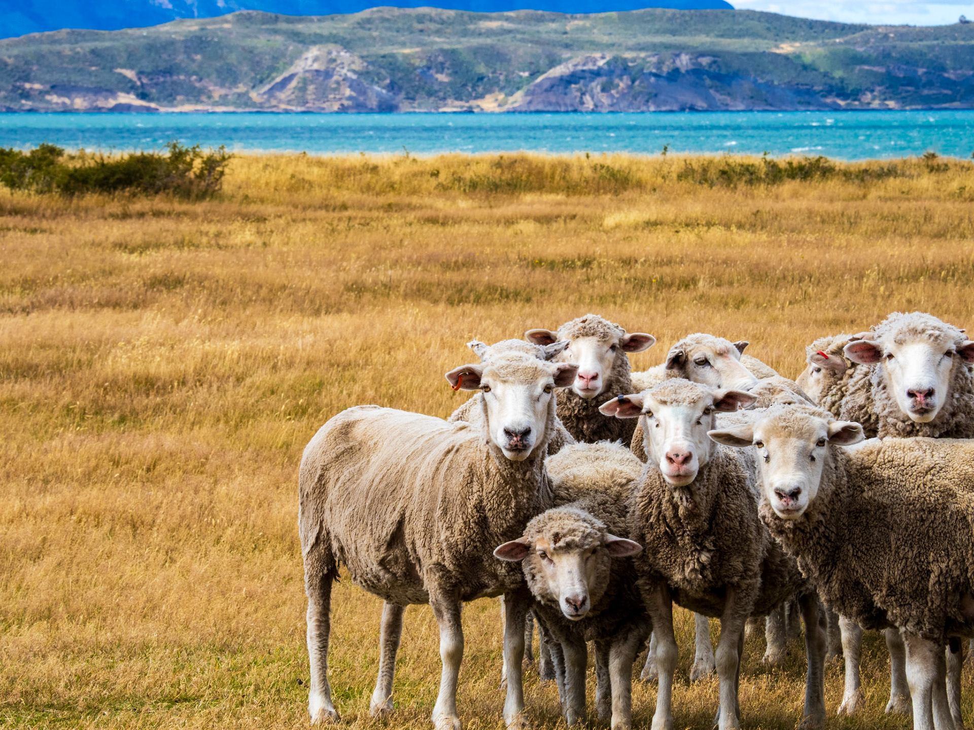 Patagonia, Chile