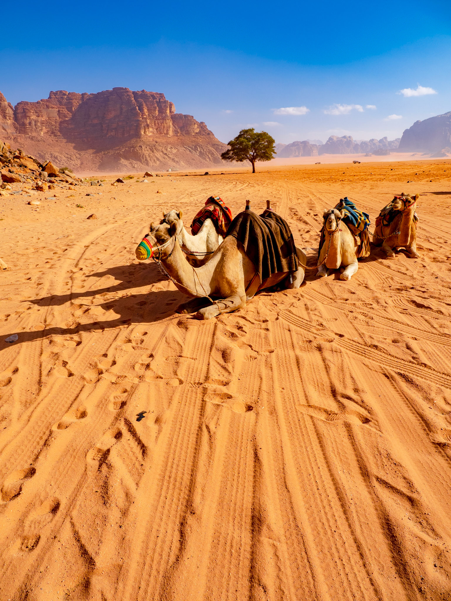 Wadi Rum, Jordan