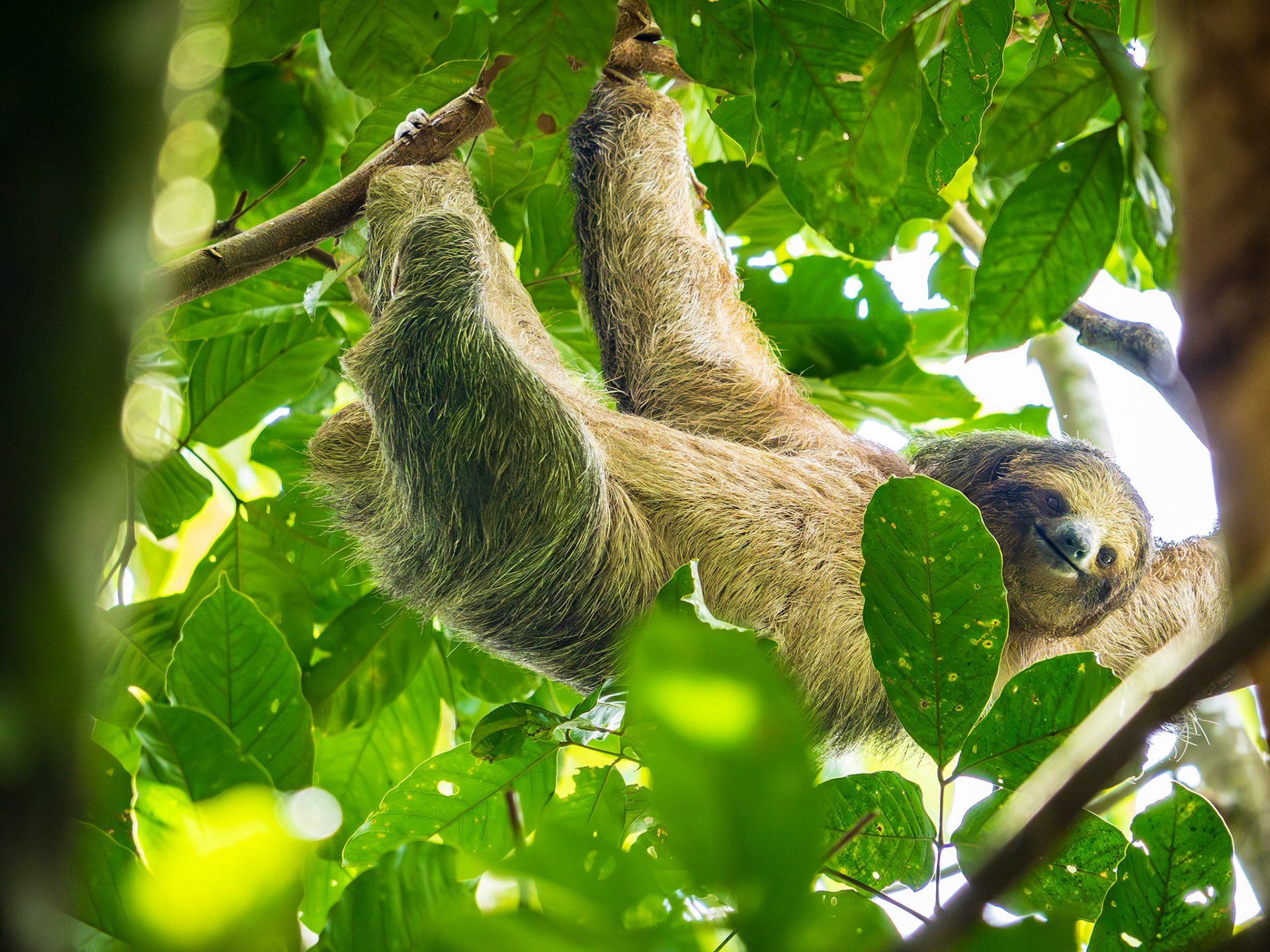 Costa Rica