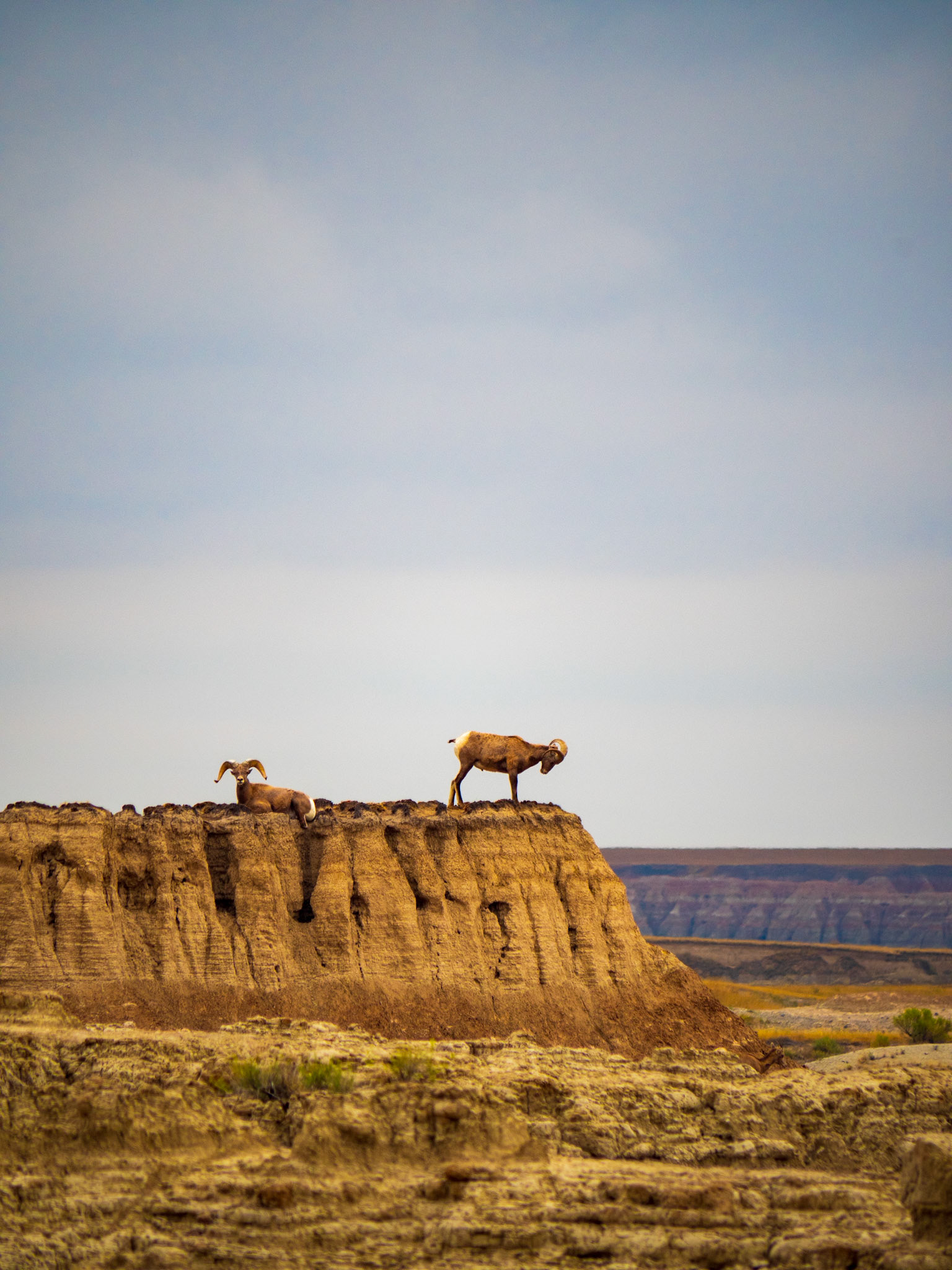 Badlands, South Dakota