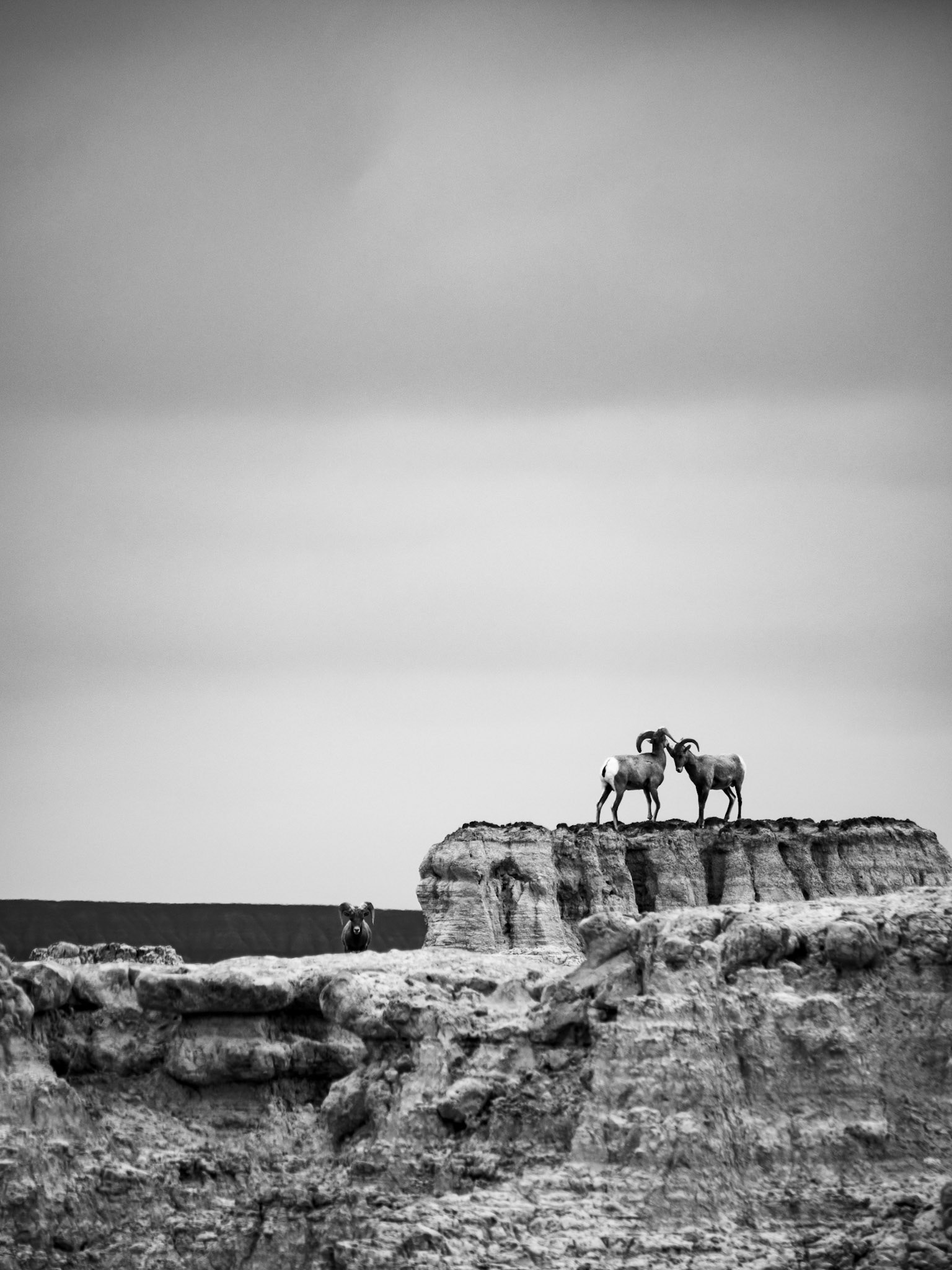 Badlands National Park