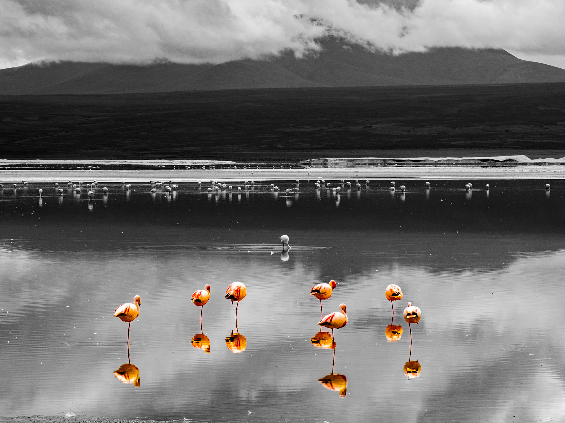 Laguna Colorada, Bolivia
