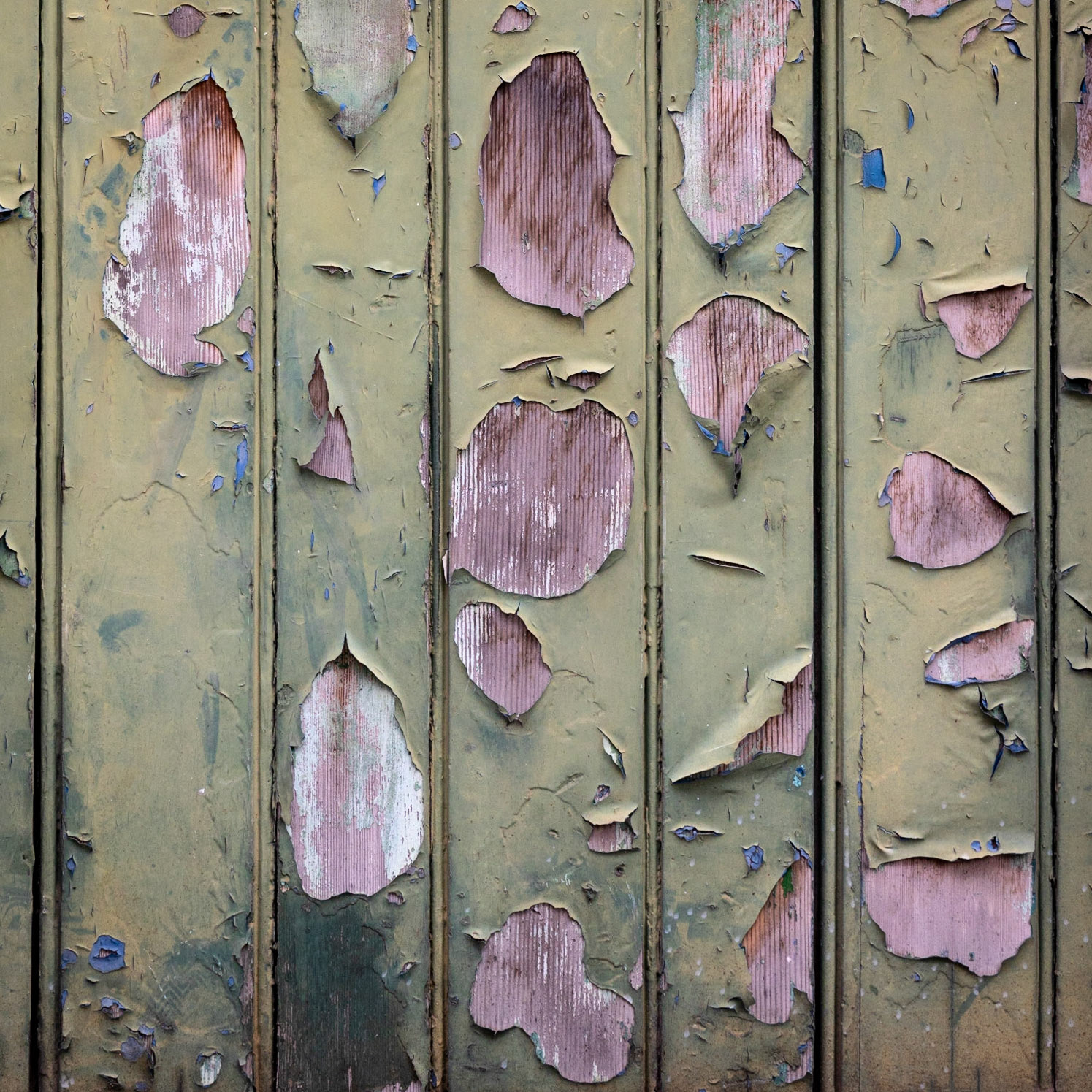 Mauve and pale green
