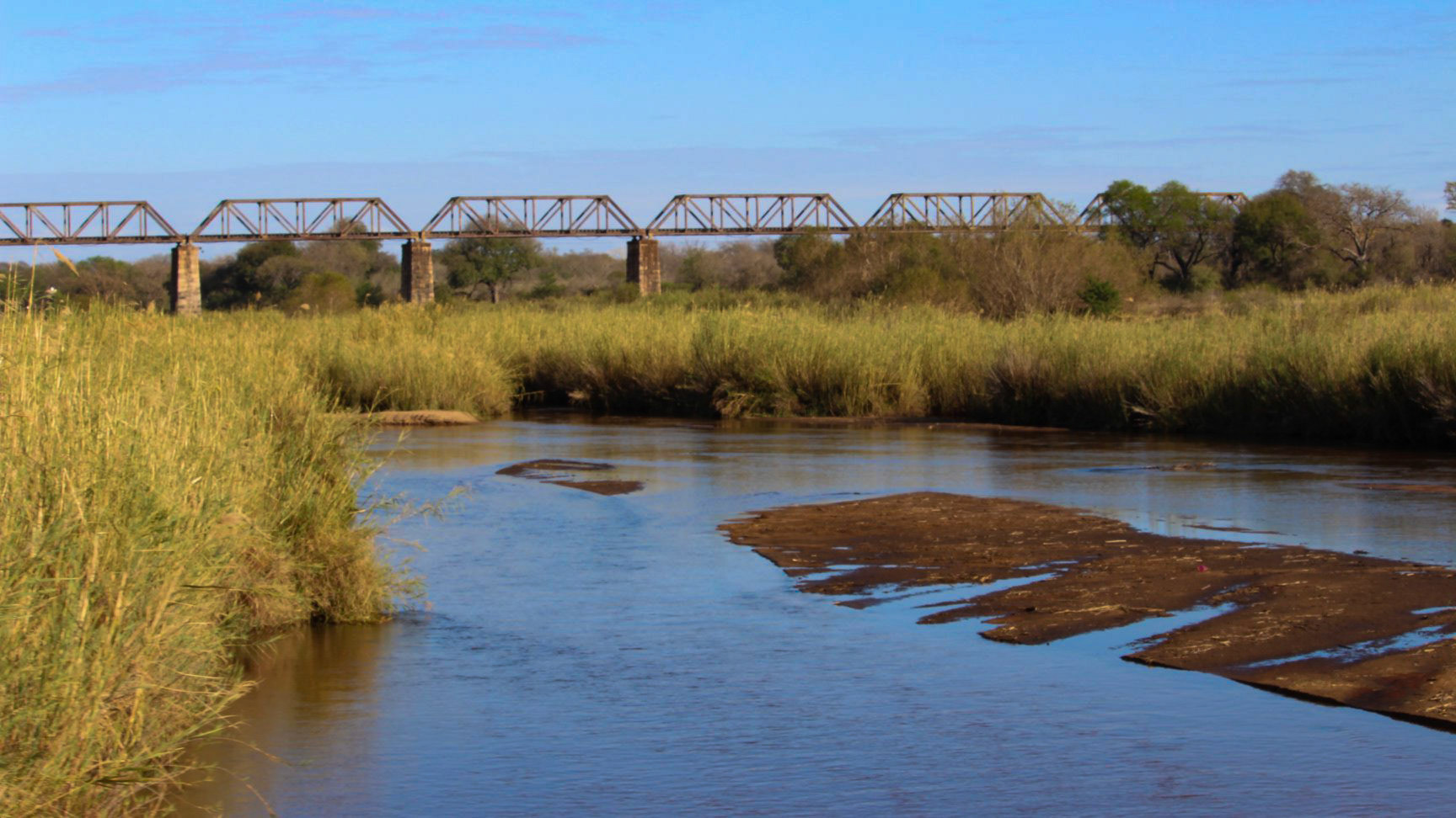 South African safari