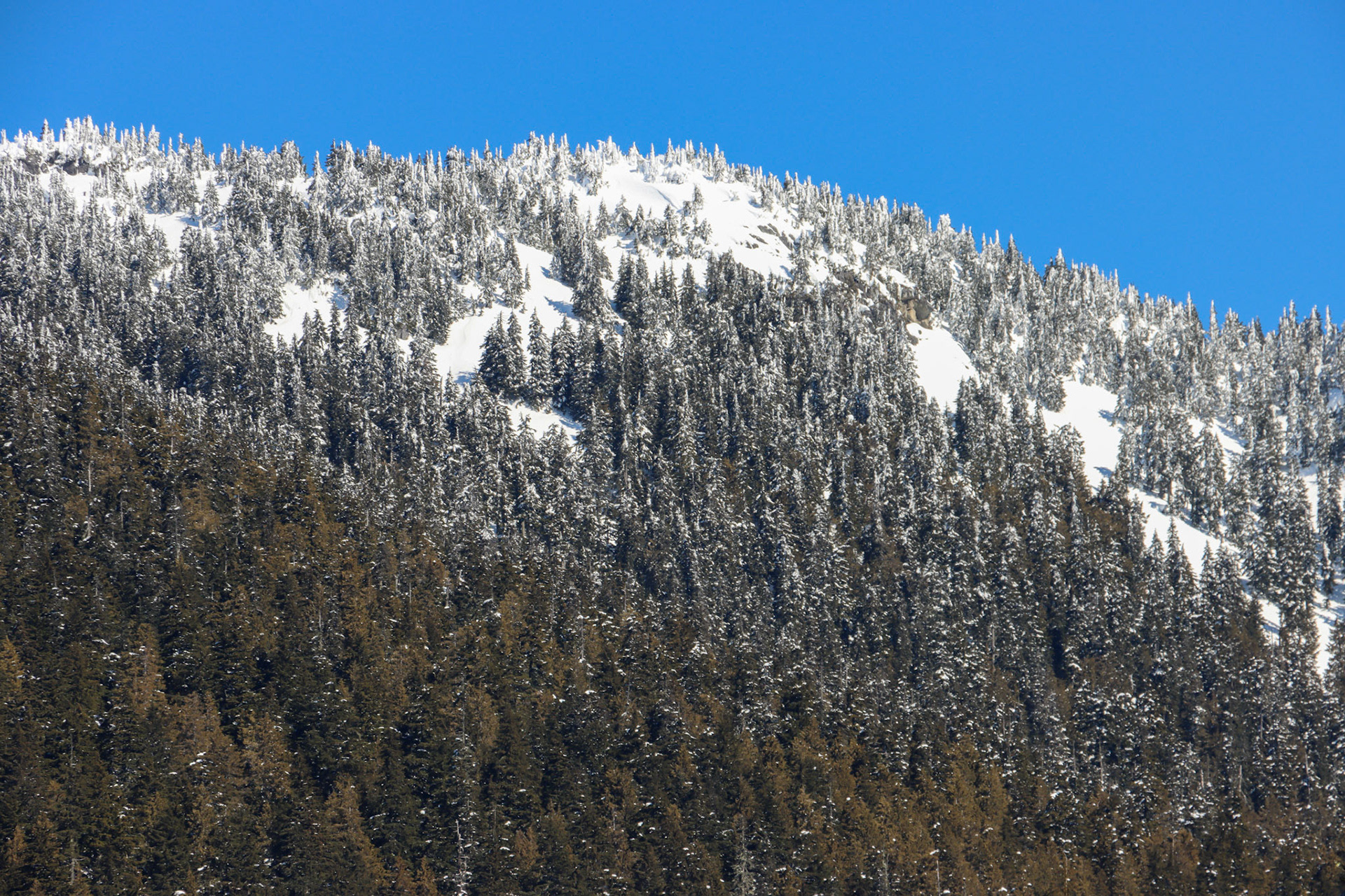 Snowy Mountains in Whistler, BC